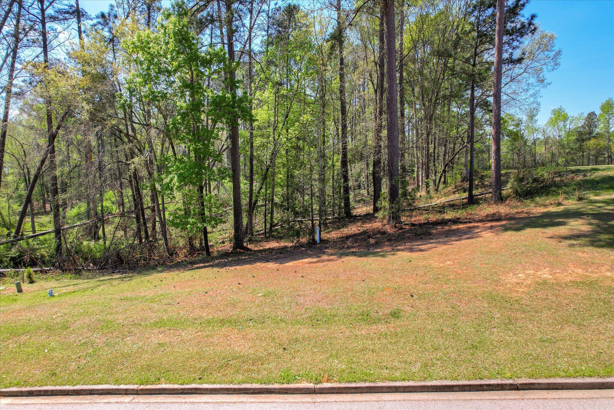 Lot O-051 O-051 Captain Johnsons Drive Property Photo 5