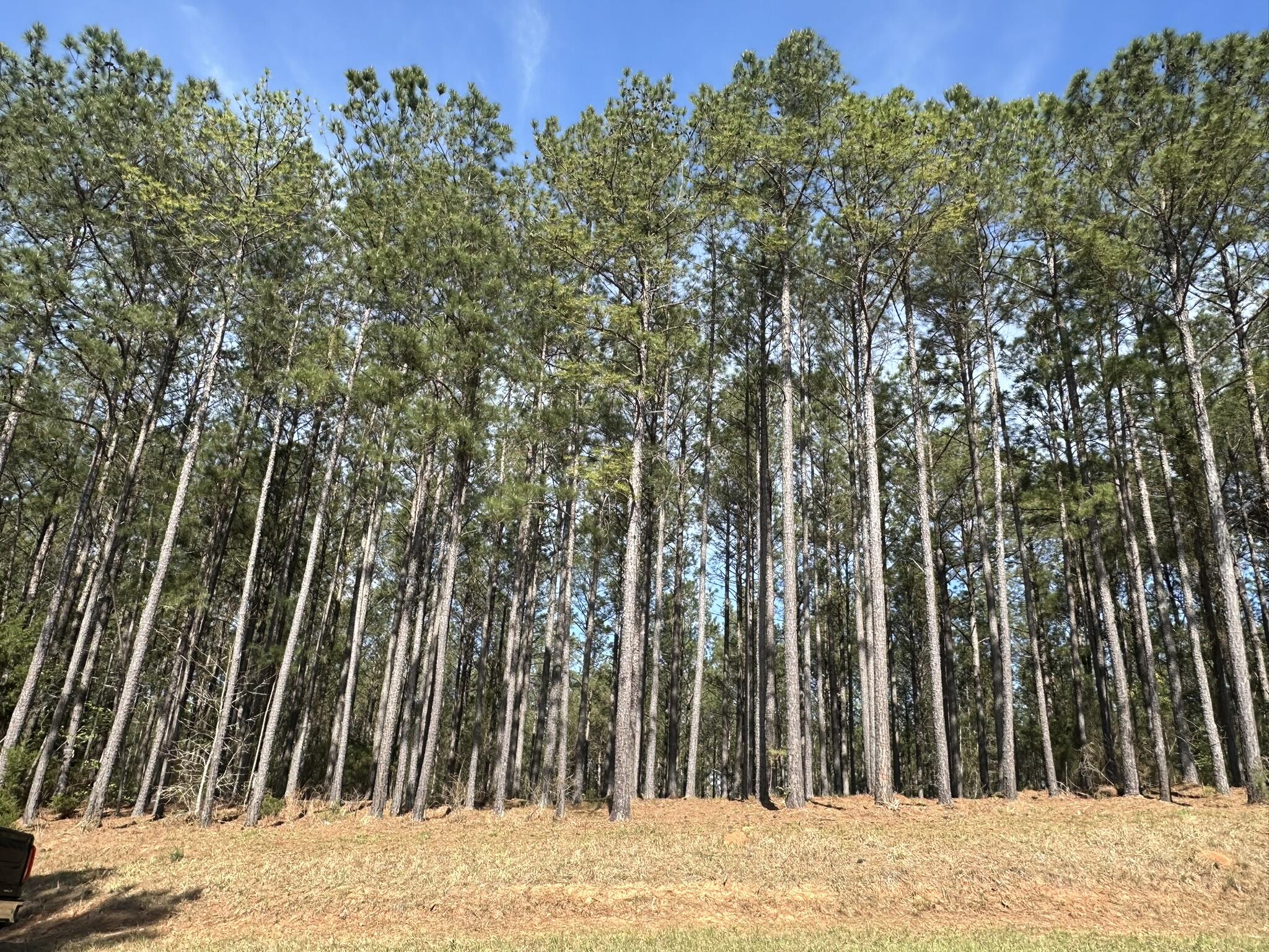 Lot 65 65 Maiden Cane Way Property Photo 1