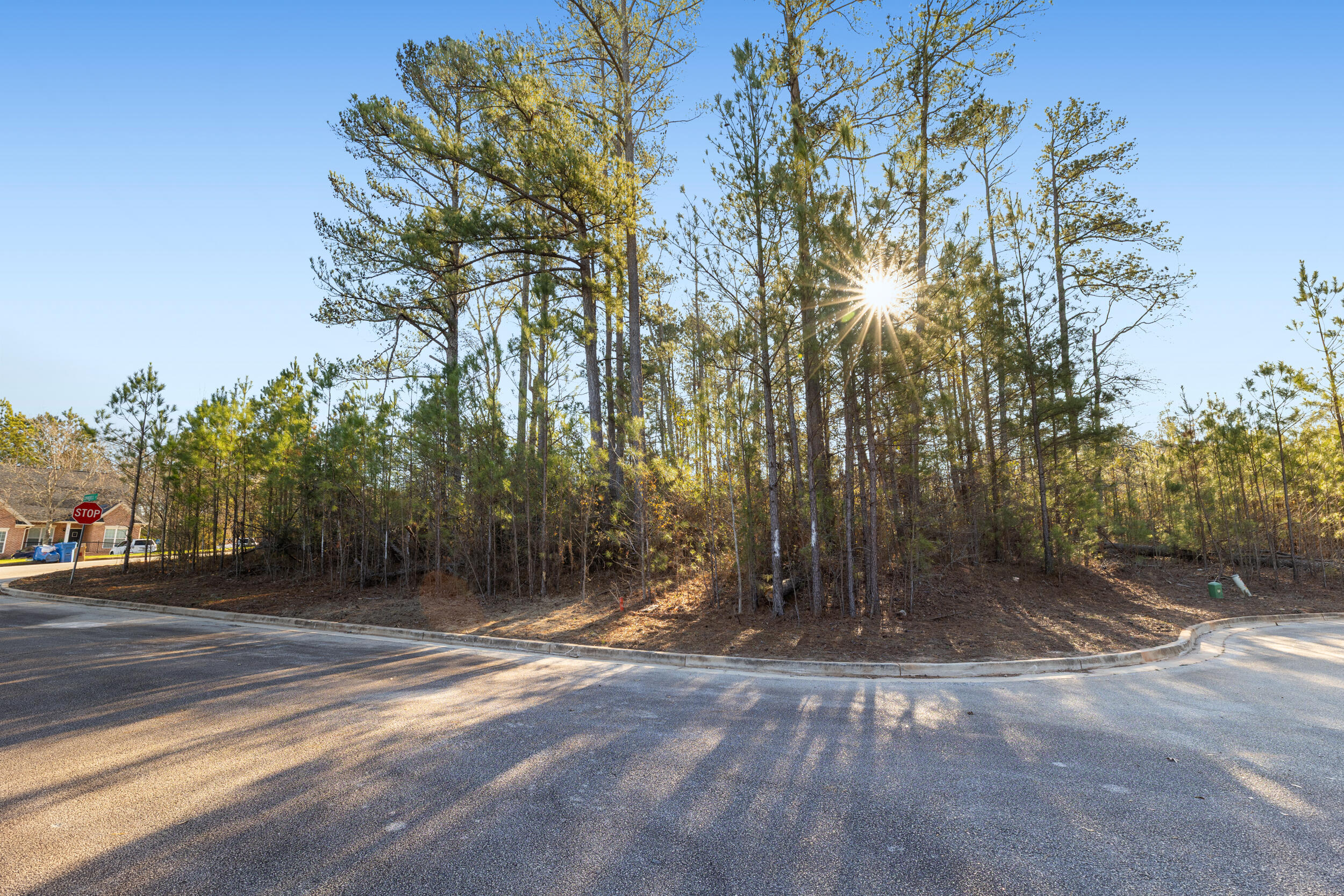 801 Swindell Court Property Photo 4