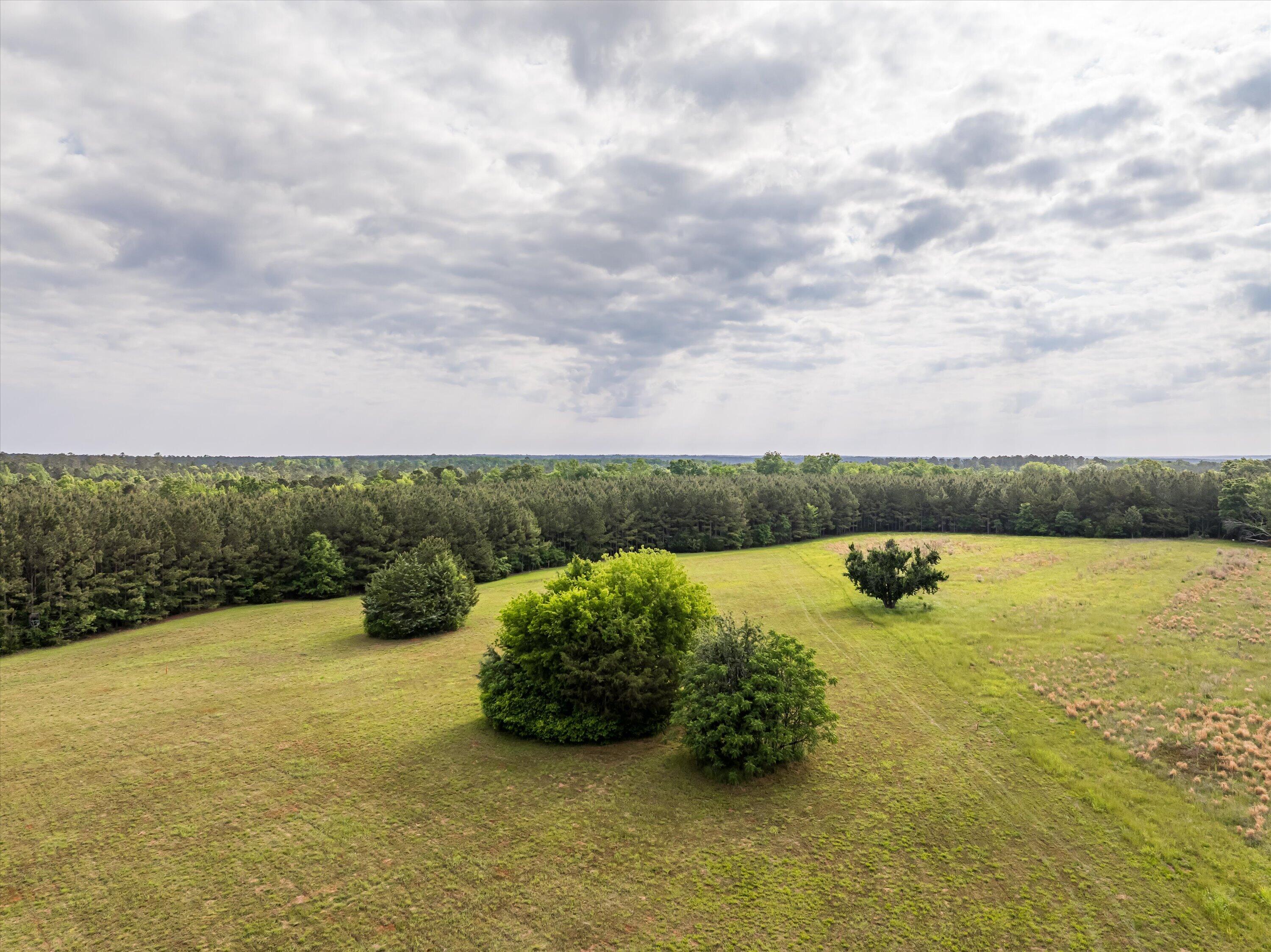 5740 Tract C Cobbham Road Property Photo 6