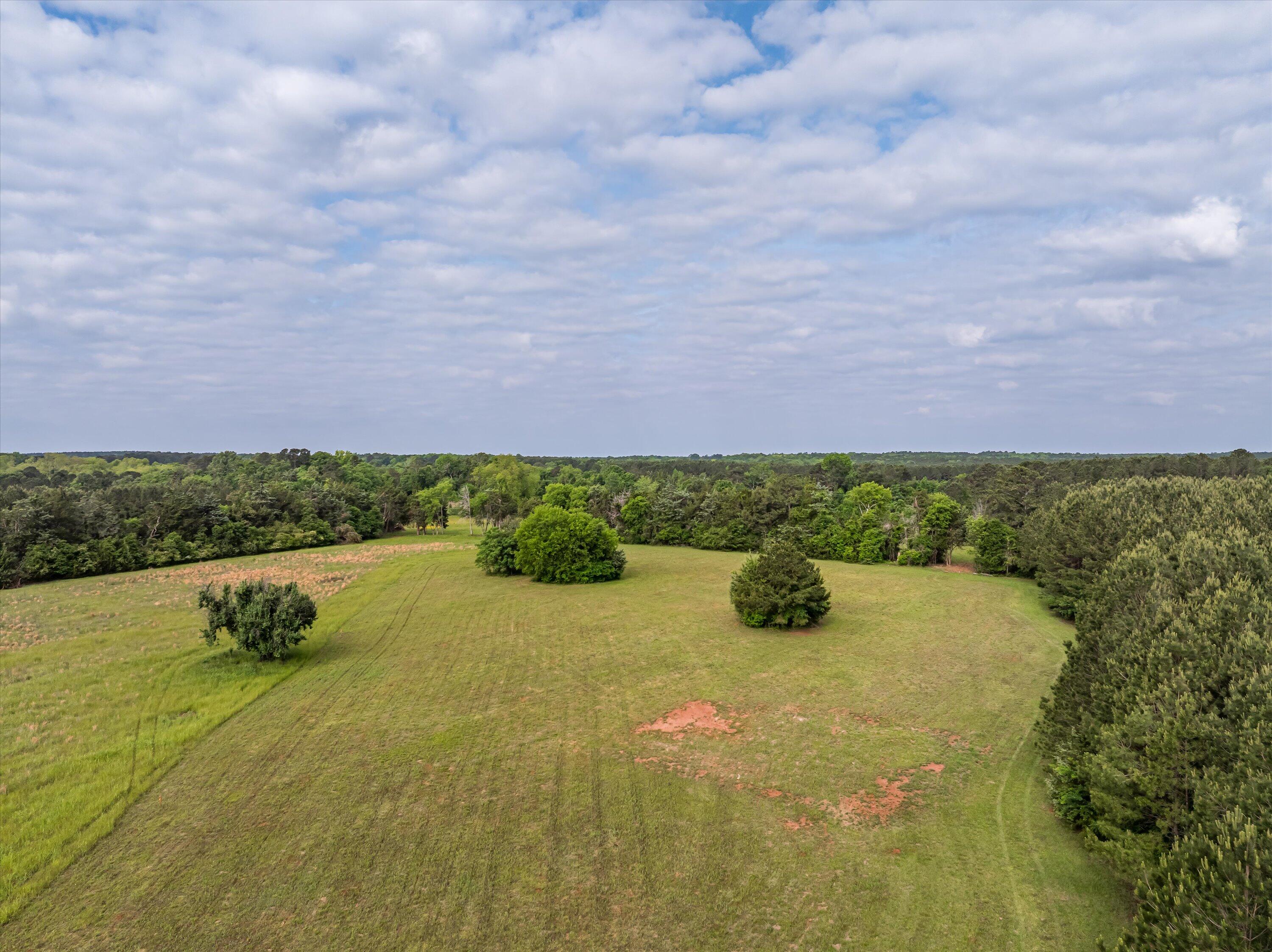 5740 Tract C Cobbham Road Property Photo 7