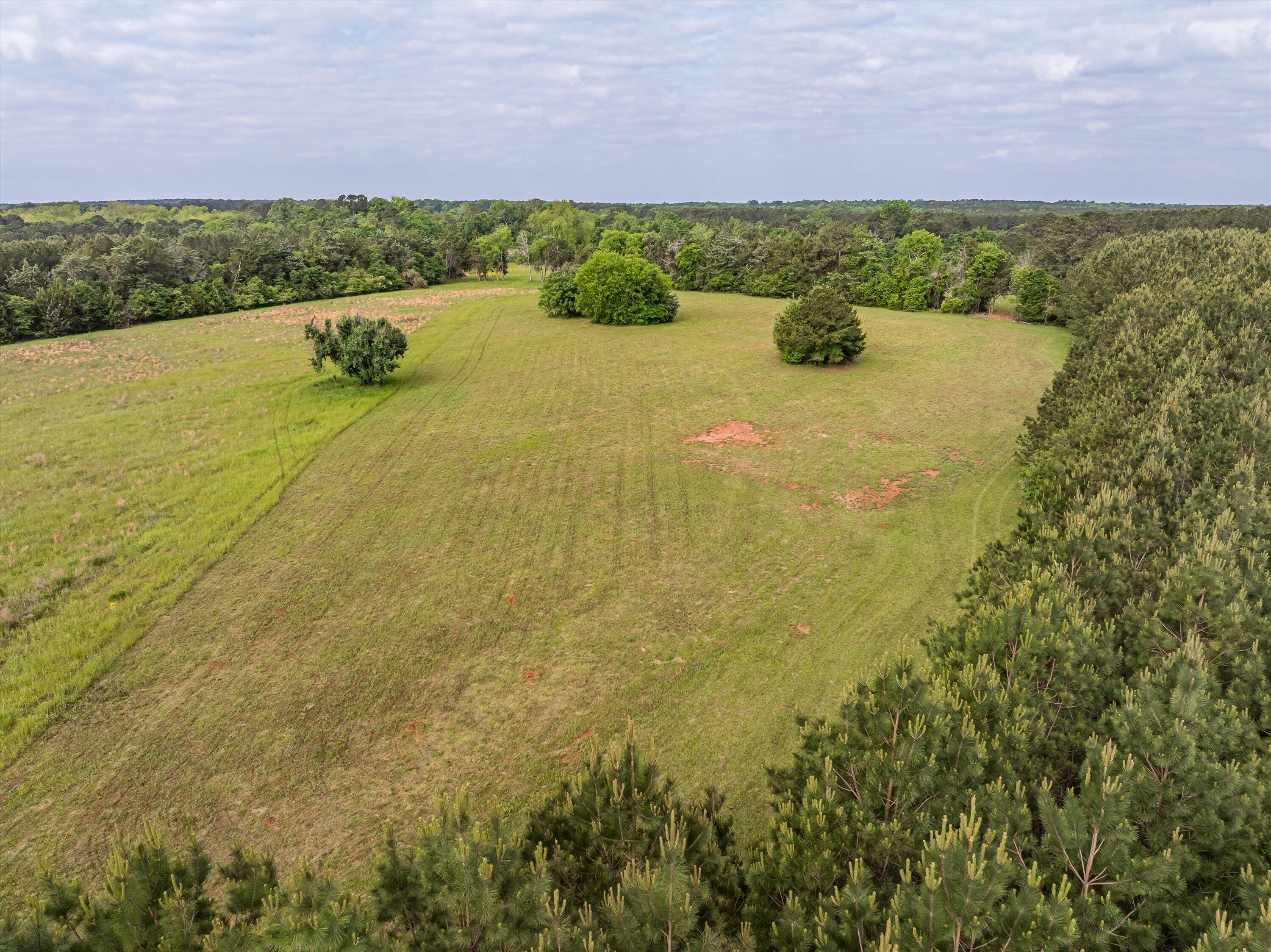 5740 Tract C Cobbham Road Property Photo 8