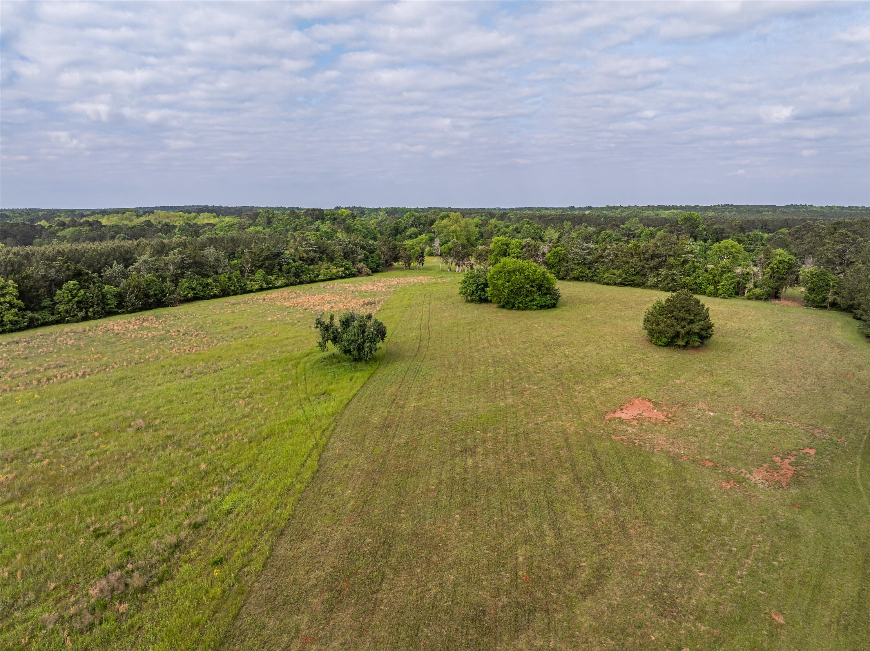 5740 Tract C Cobbham Road Property Photo 9
