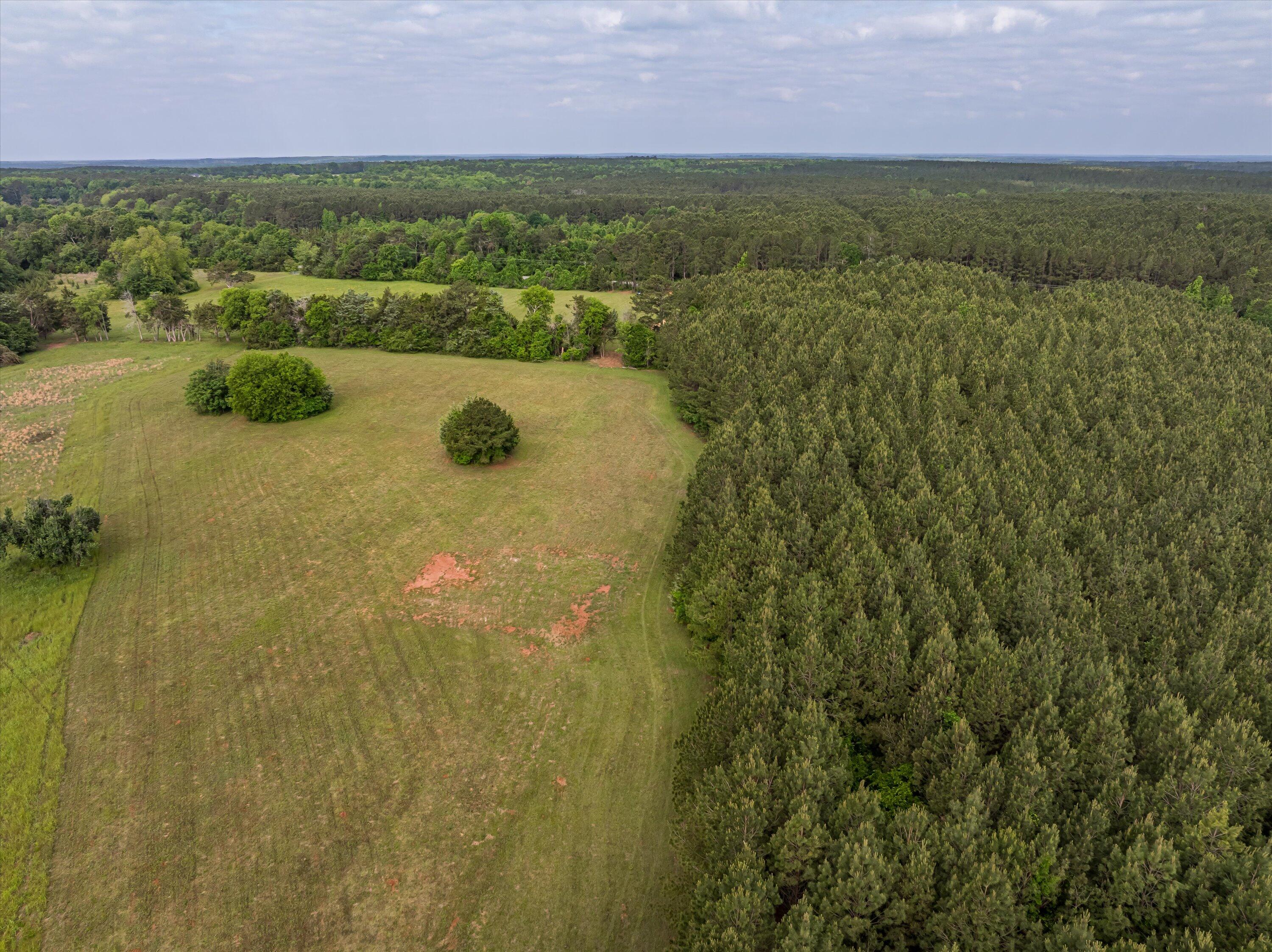 5740 Tract C Cobbham Road Property Photo 10