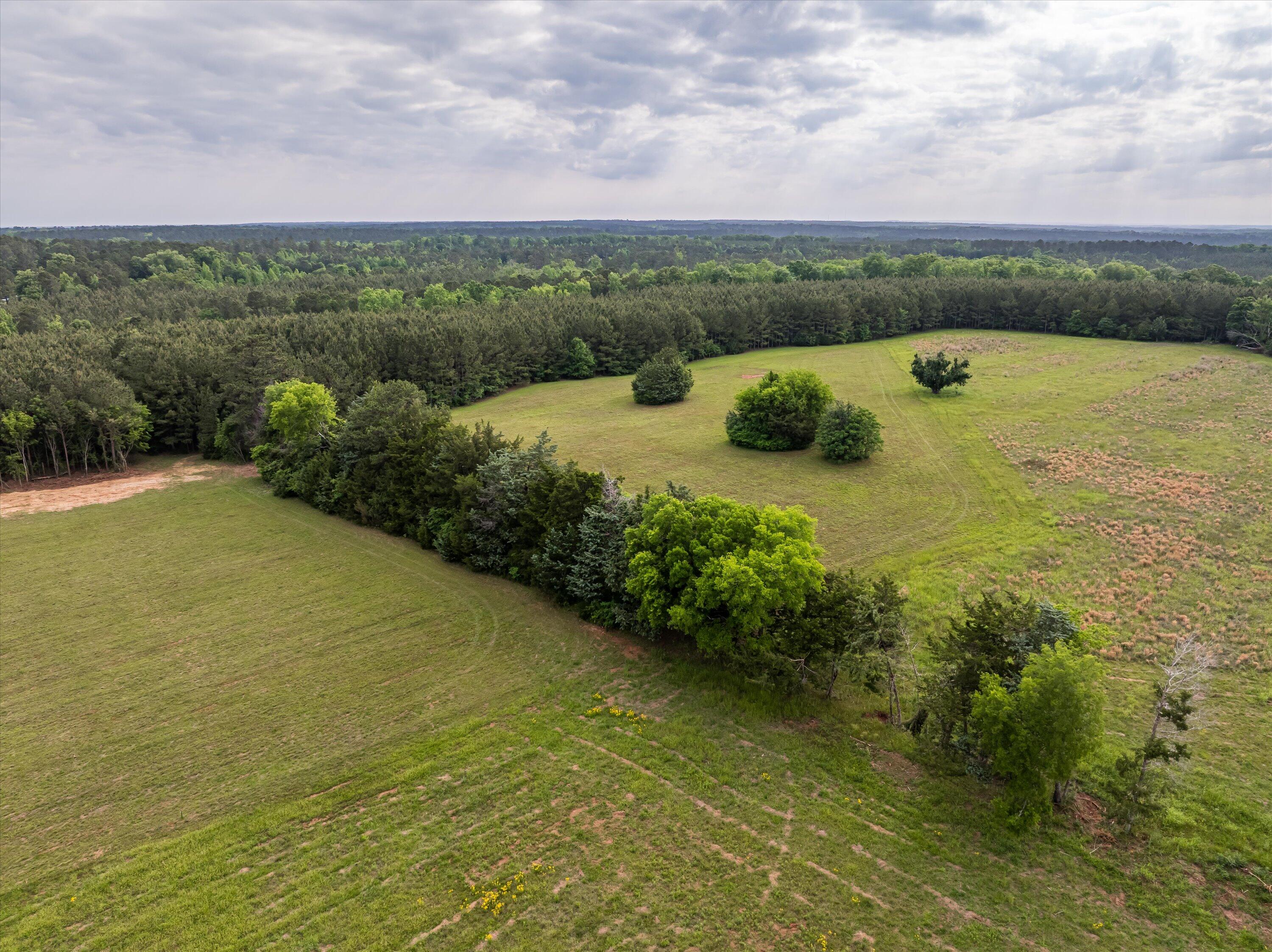 5740 Tract C Cobbham Road Property Photo 15