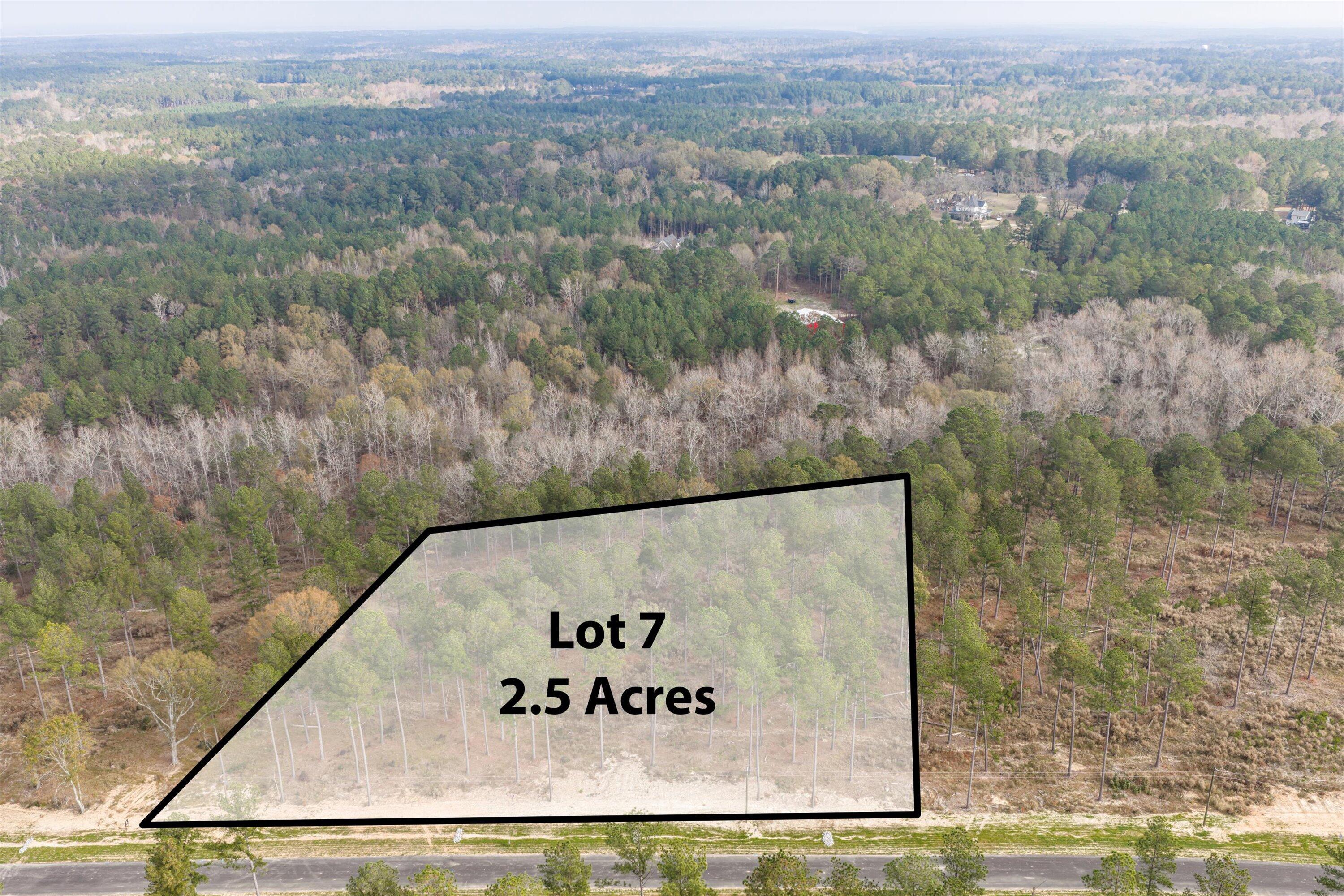 159 Beagle Chase Drive Property Photo 1