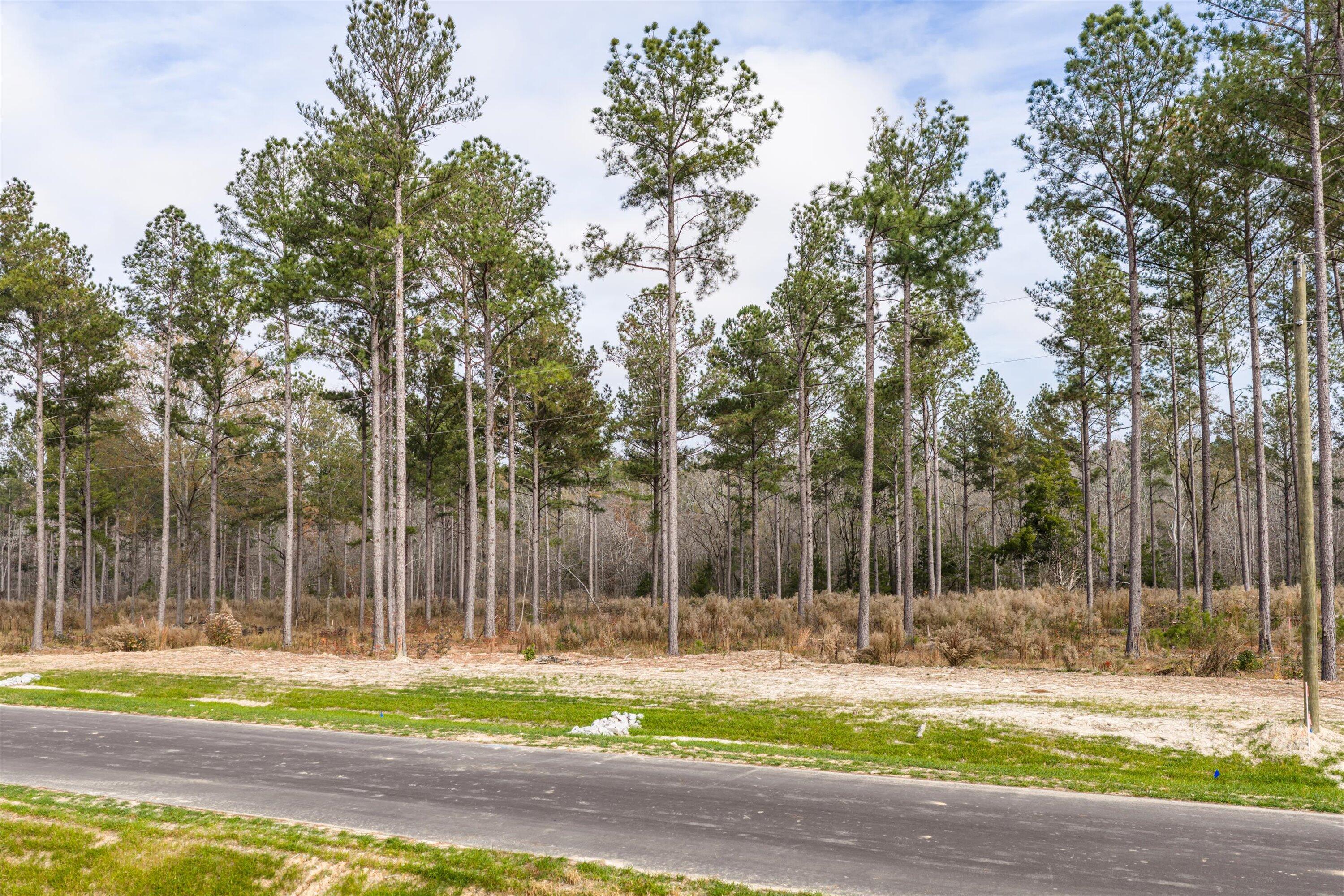 159 Beagle Chase Drive Property Photo 3