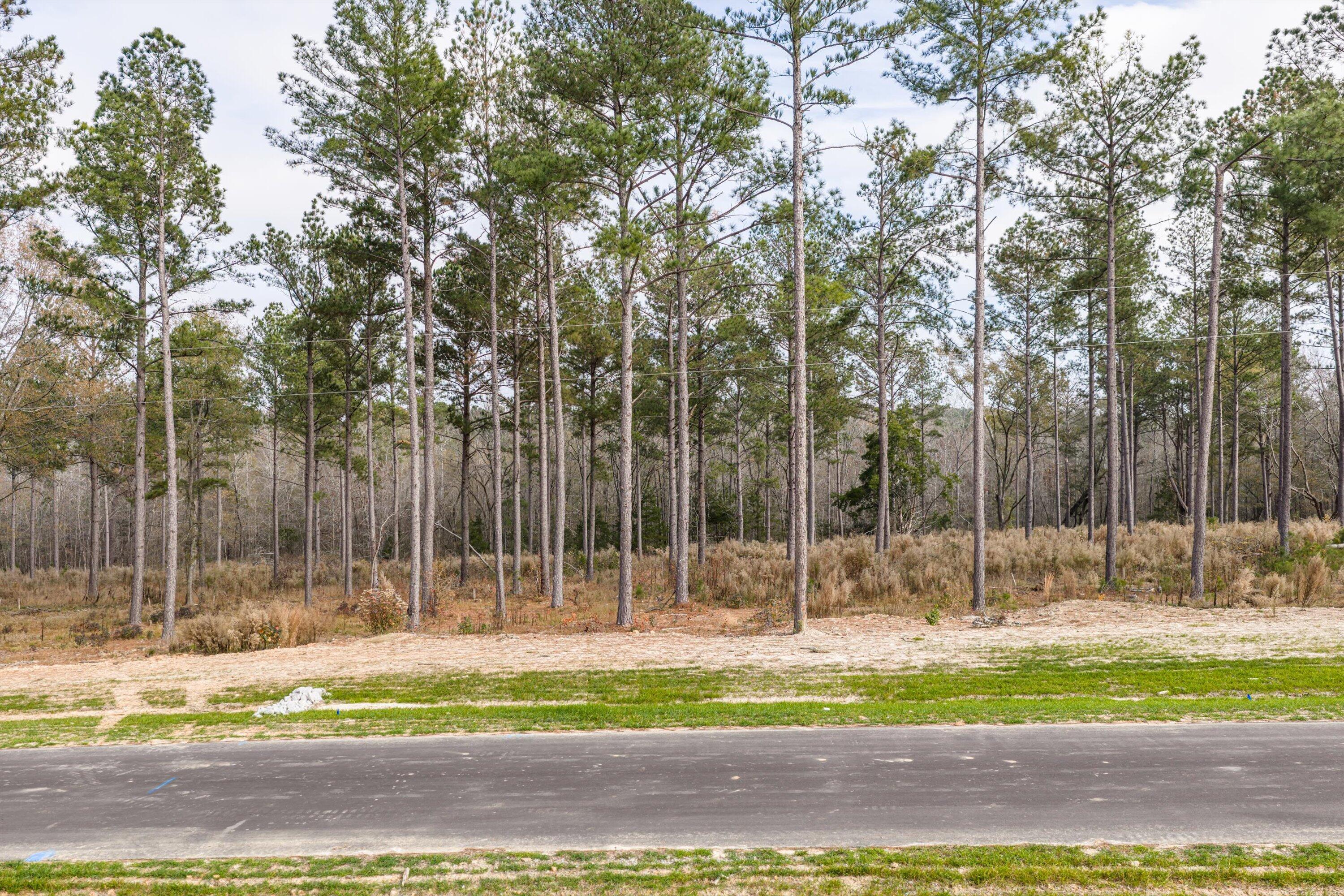 159 Beagle Chase Drive Property Photo 4