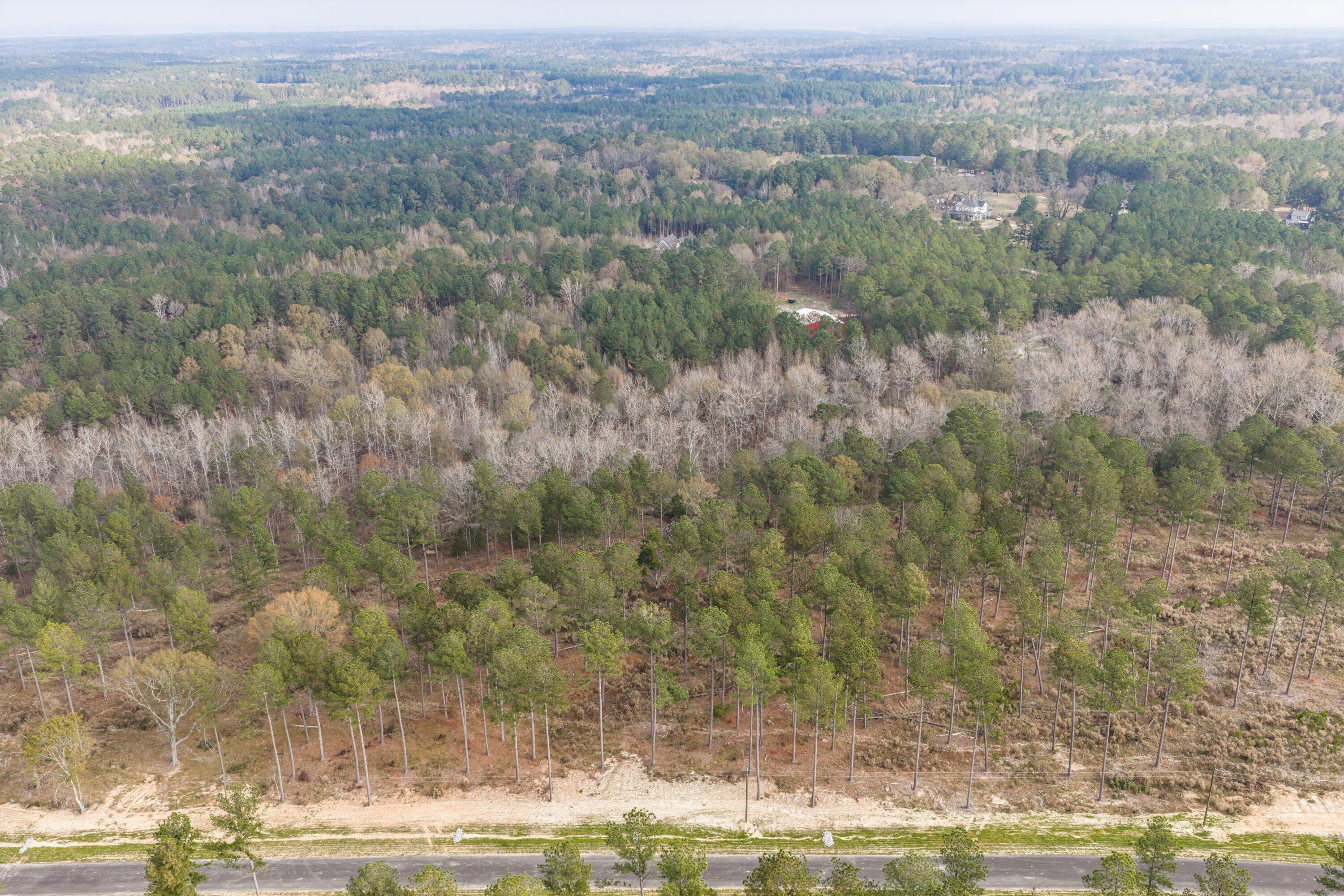 159 Beagle Chase Drive Property Photo 5