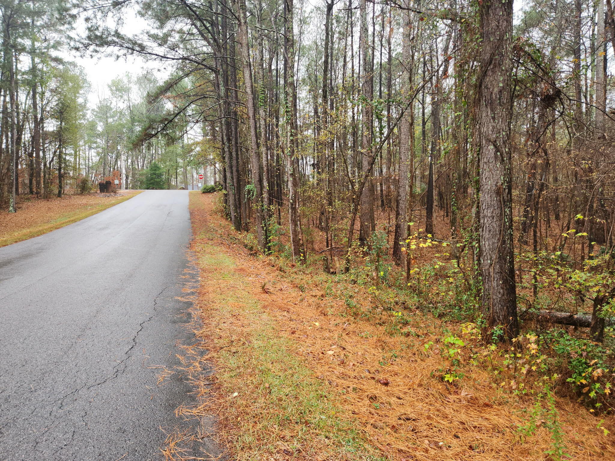Tbd Springhaven Drive Property Photo 1