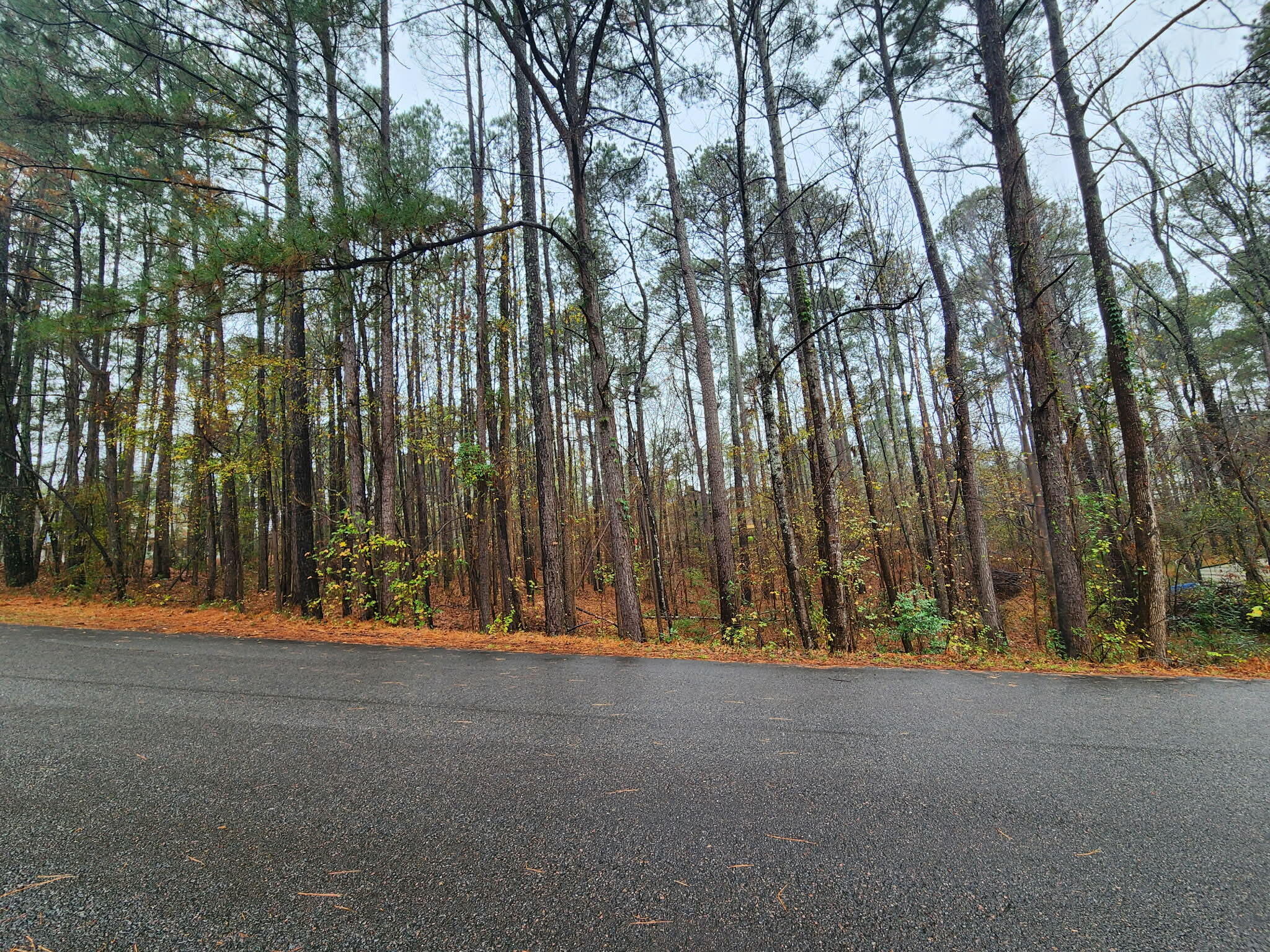 Tbd Springhaven Drive Property Photo 2