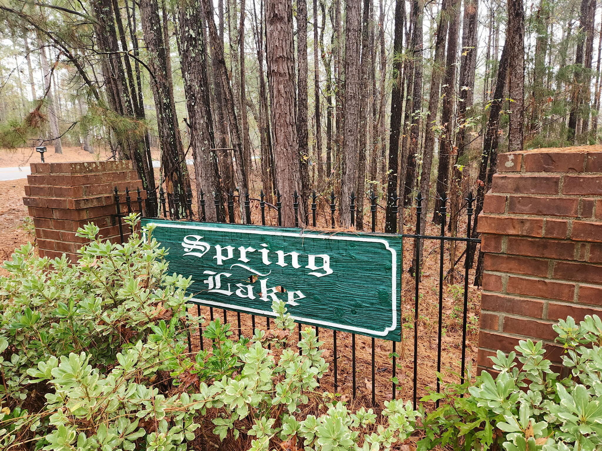 Tbd Springhaven Drive Property Photo 4