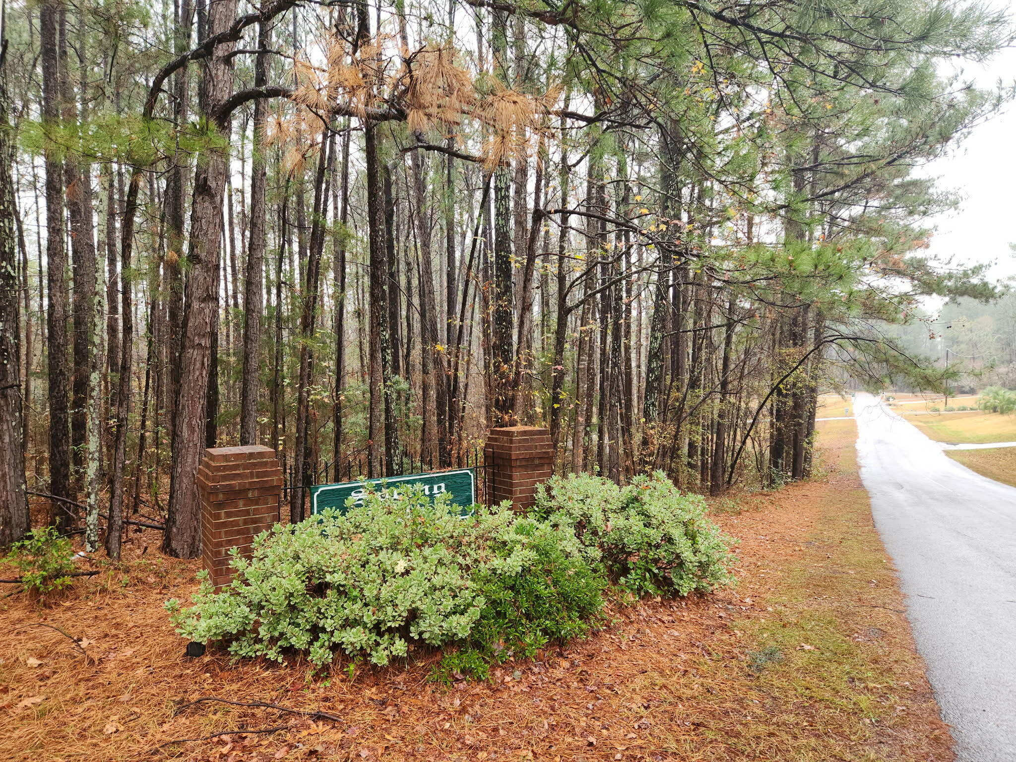 Tbd Springhaven Drive Property Photo 5