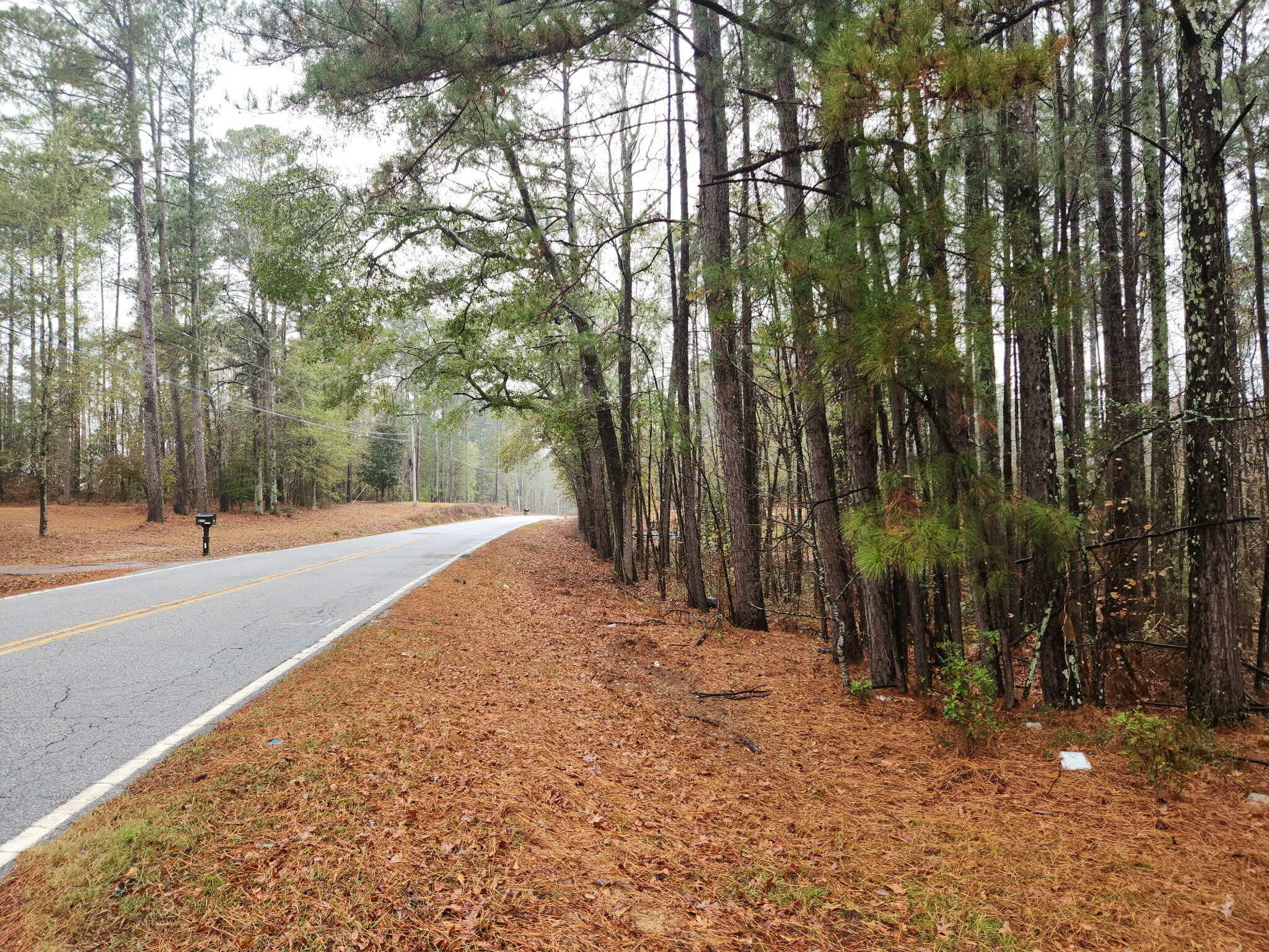 Tbd Springhaven Drive Property Photo 6