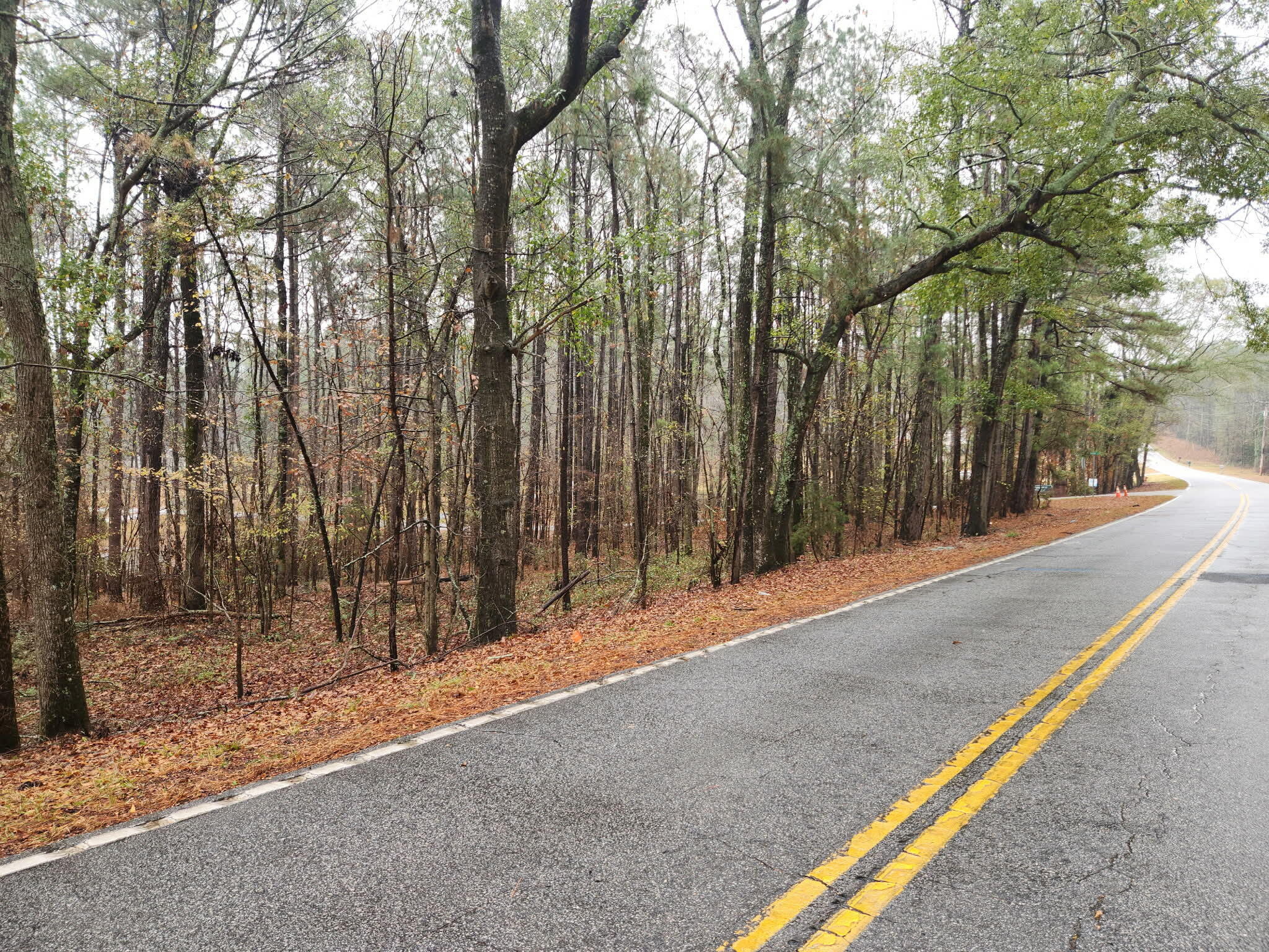 Tbd Springhaven Drive Property Photo 7