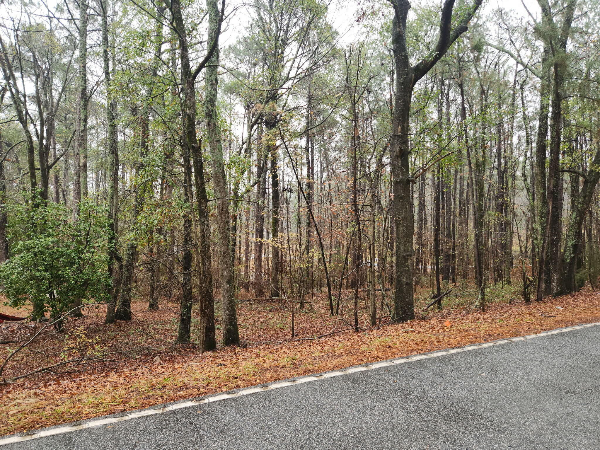 Tbd Springhaven Drive Property Photo 8