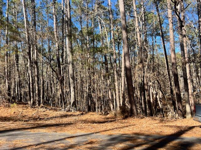 0 Oconee Lane Property Photo 1