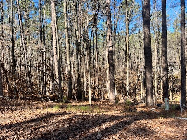 0 Oconee Lane Property Photo 2