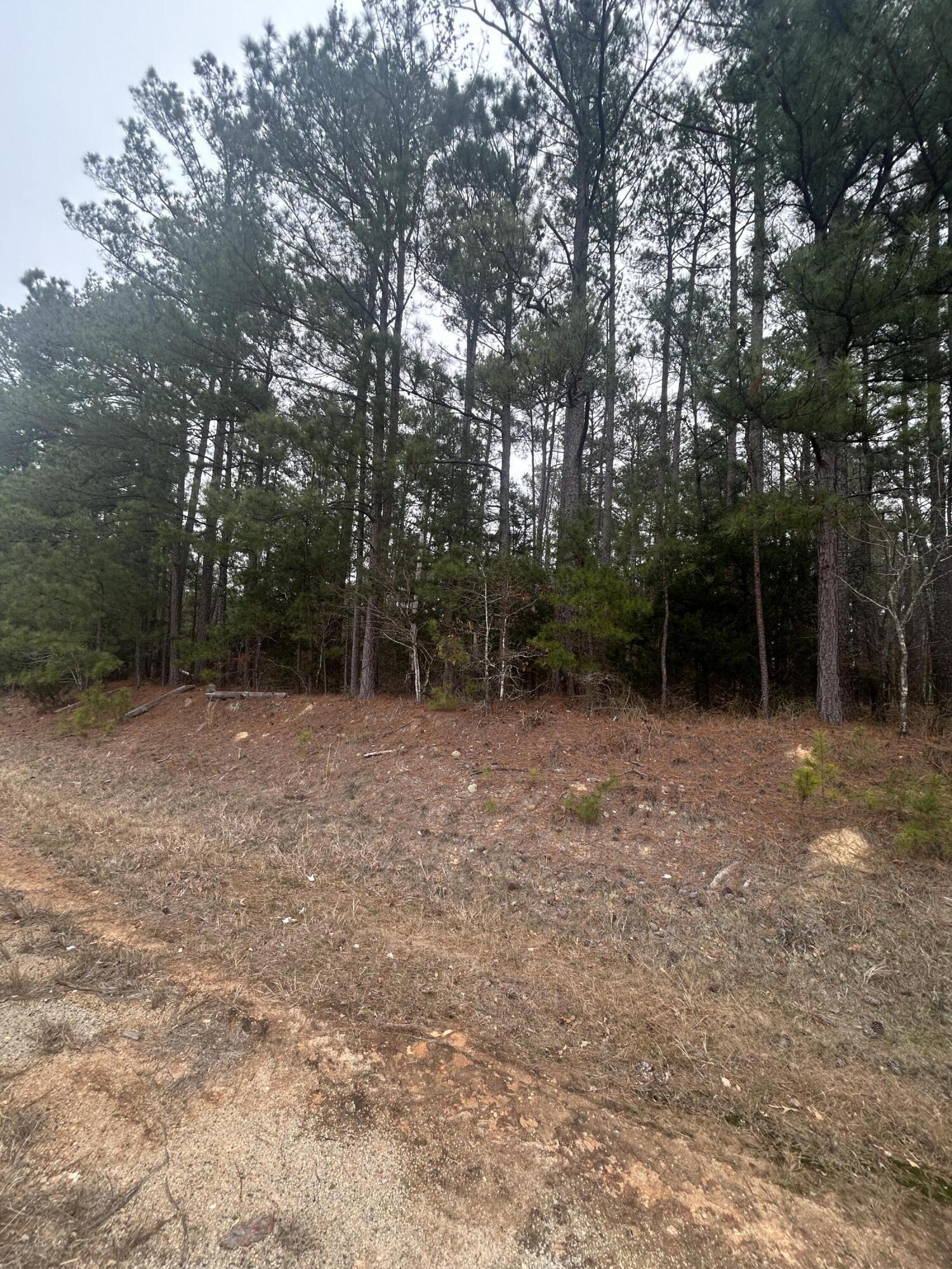 16.9 Ac Hwy 220 E Property Photo 3