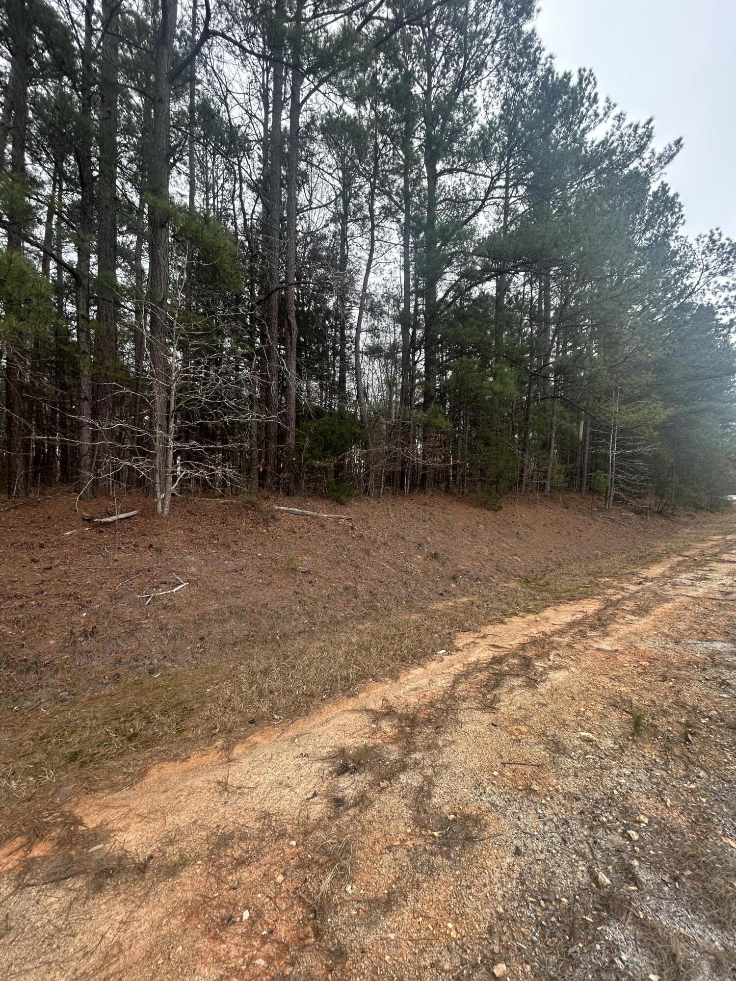 16.9 Ac Hwy 220 E Property Photo 4