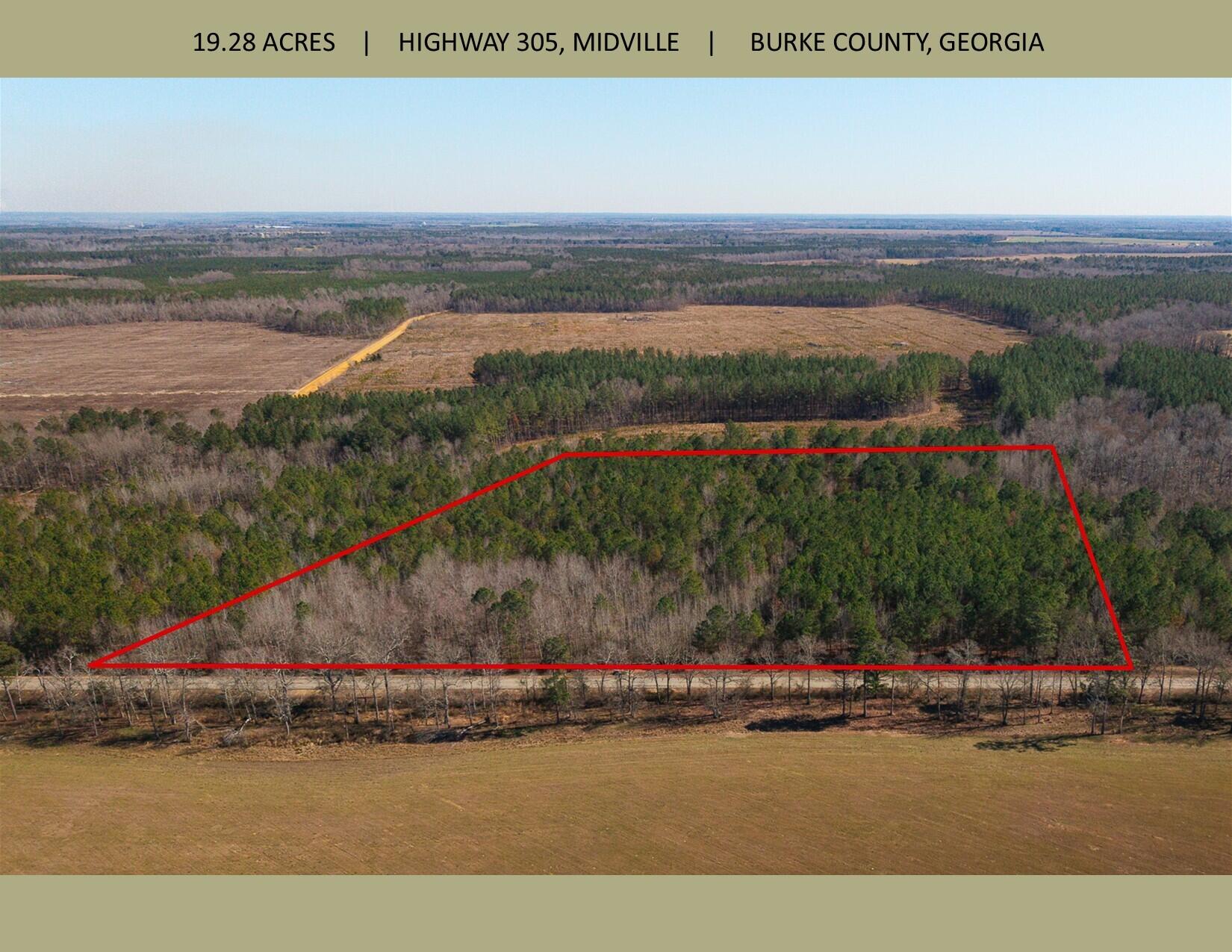 19.3 Acres Ga-305 Property Photo 1