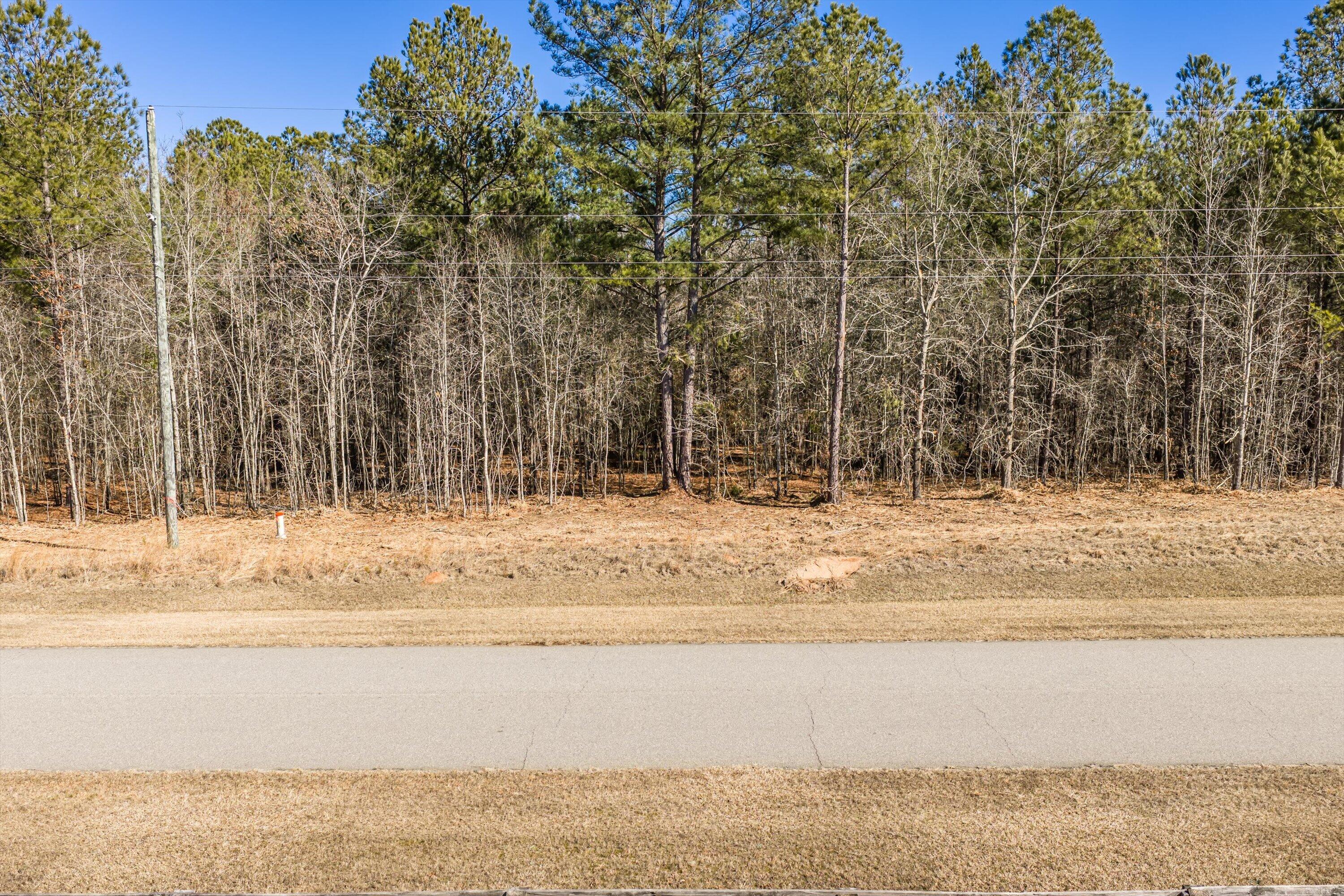 1036 116 Chennault Drive Property Photo 8