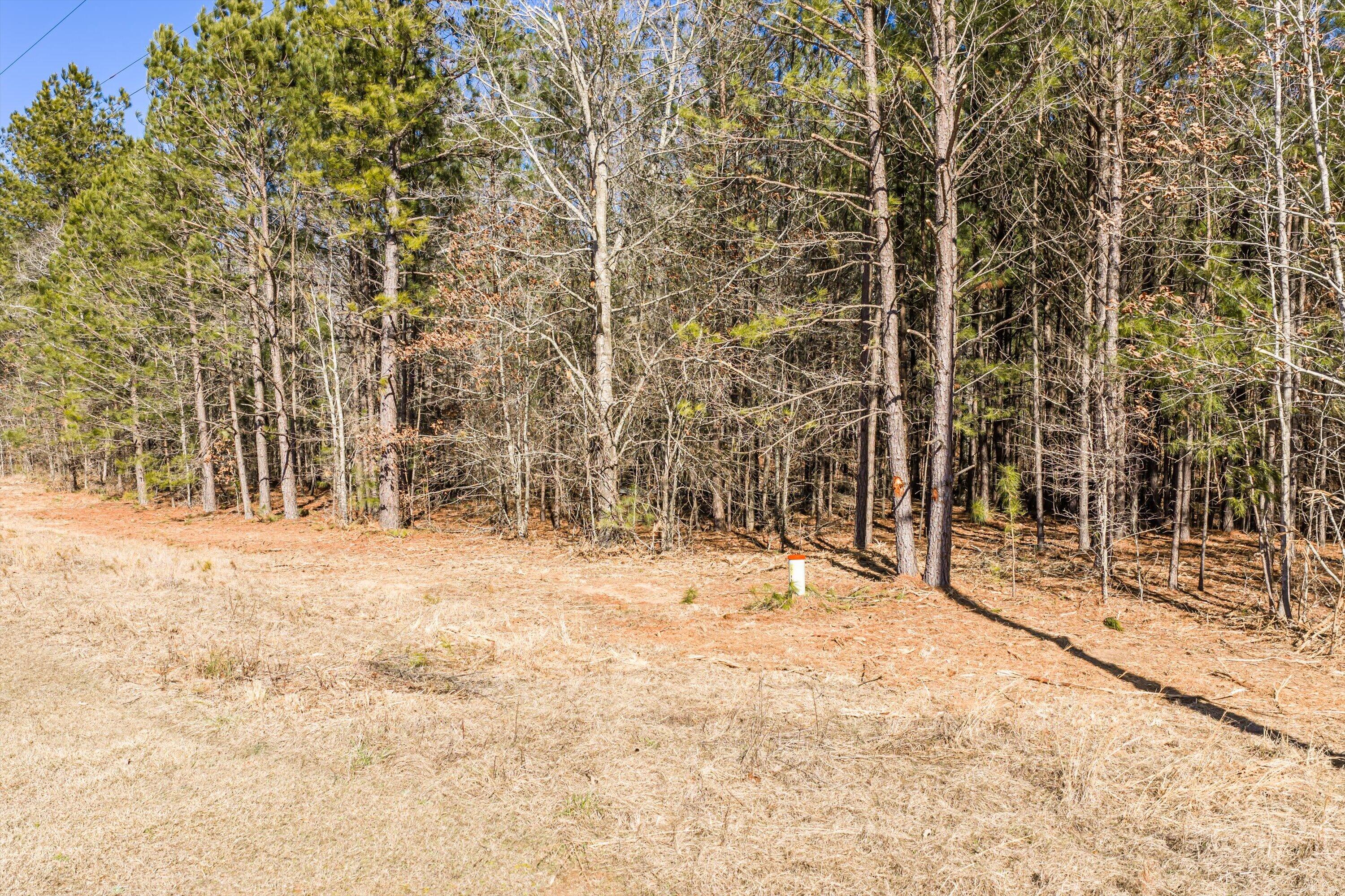 1036 116 Chennault Drive Property Photo 10