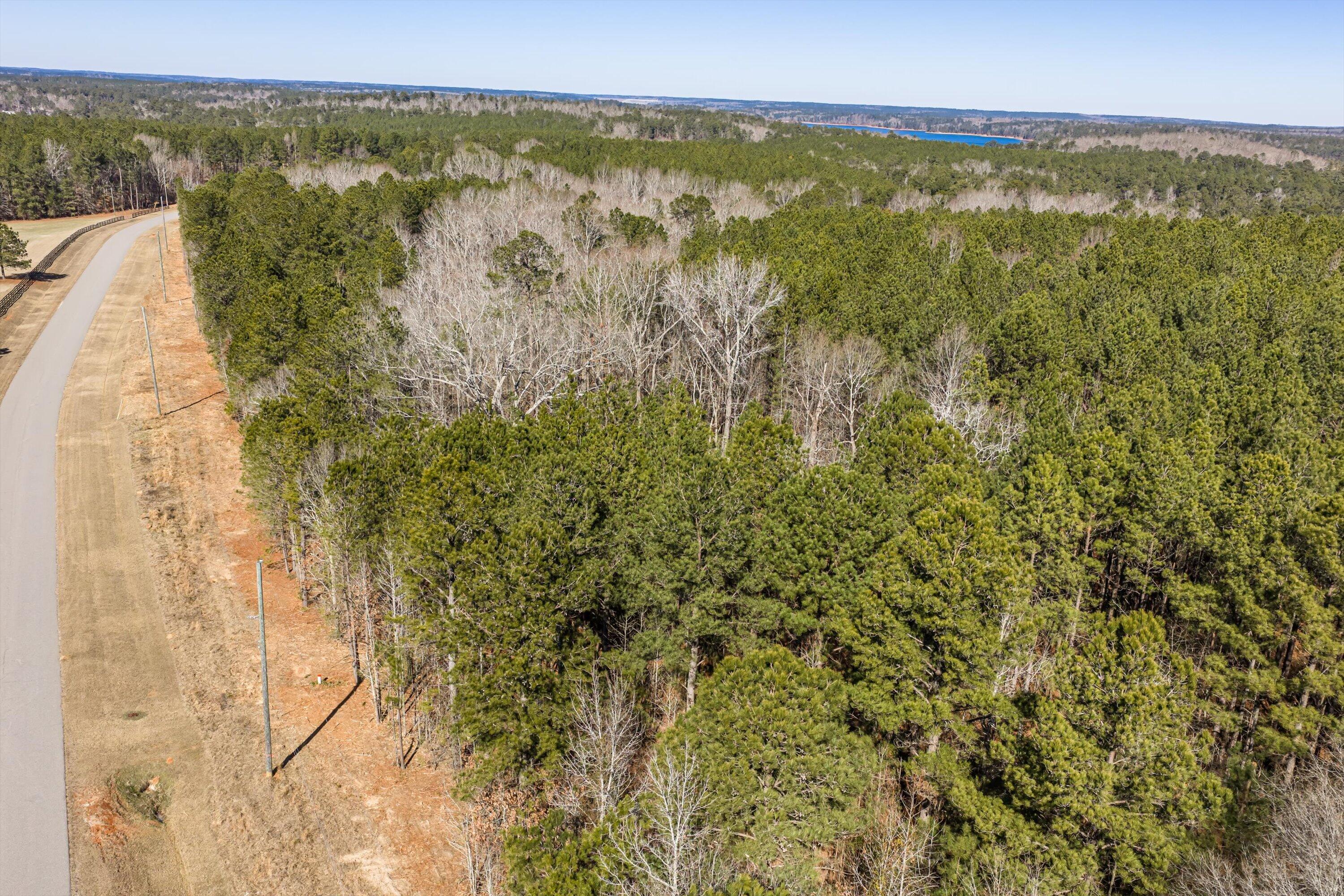 1036 116 Chennault Drive Property Photo 12