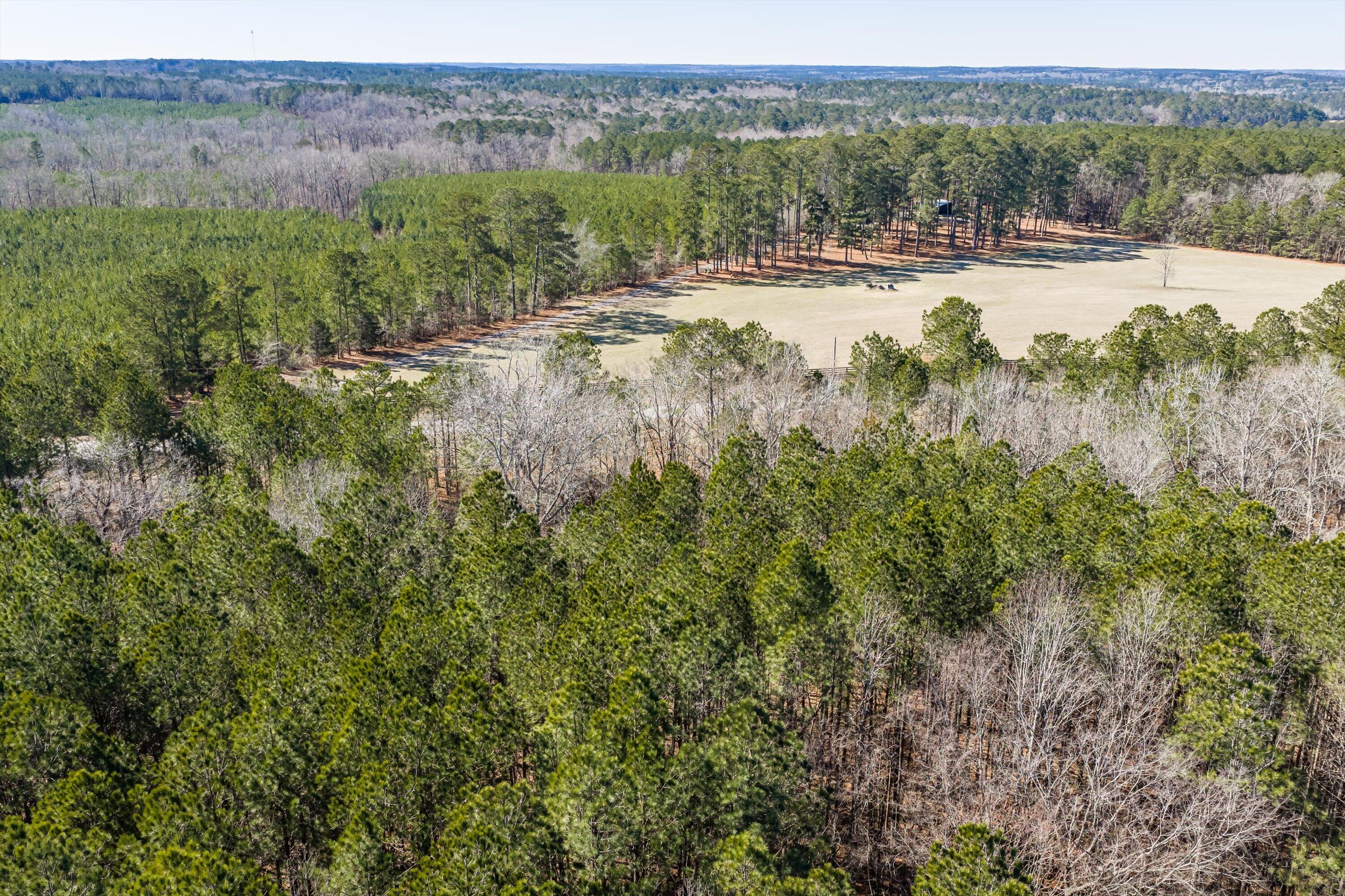 1036 116 Chennault Drive Property Photo 14