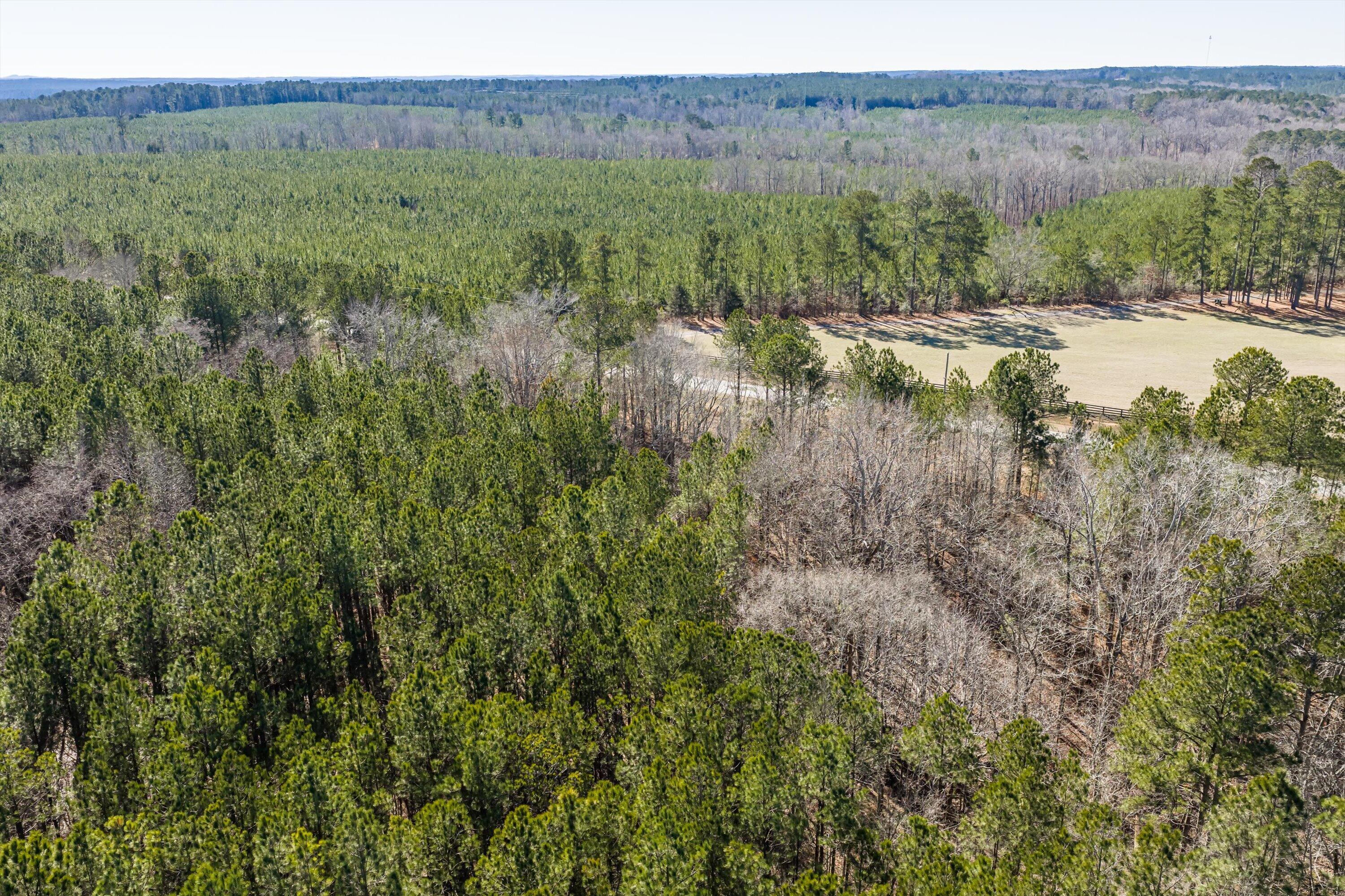 1036 116 Chennault Drive Property Photo 15