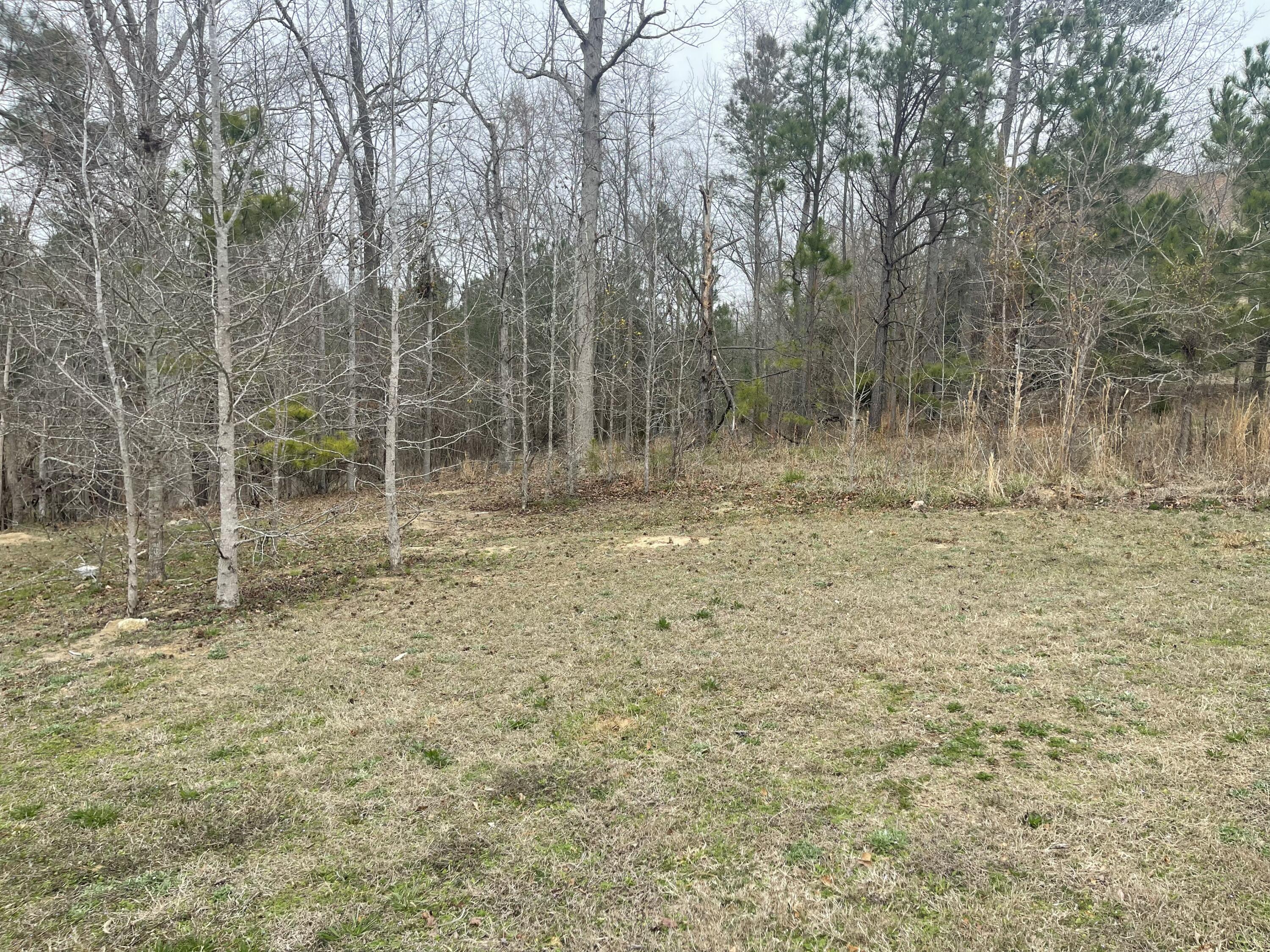 Lot G-46 John Foxs Run Property Photo 1