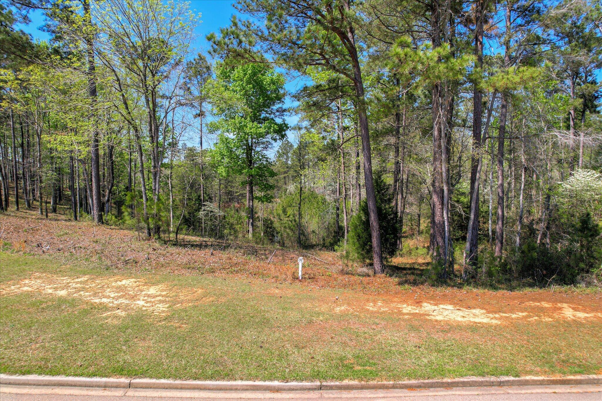 Lot N-030 N-030 Captain Johnsons Drive Property Photo 6