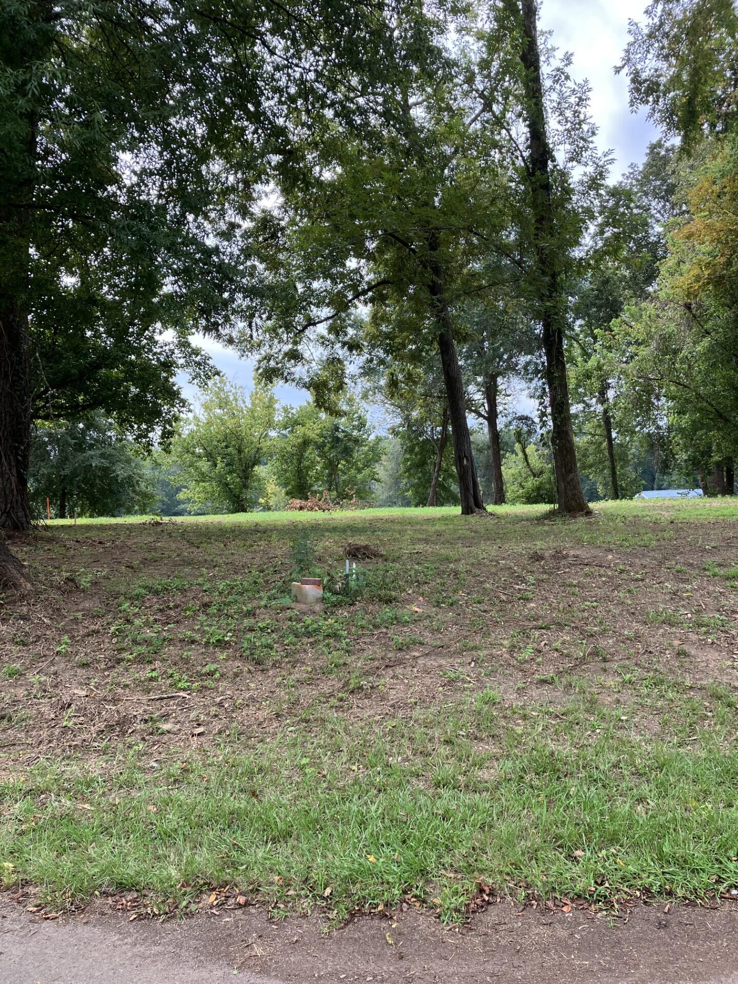 165 River Bend Drive Property Photo 3