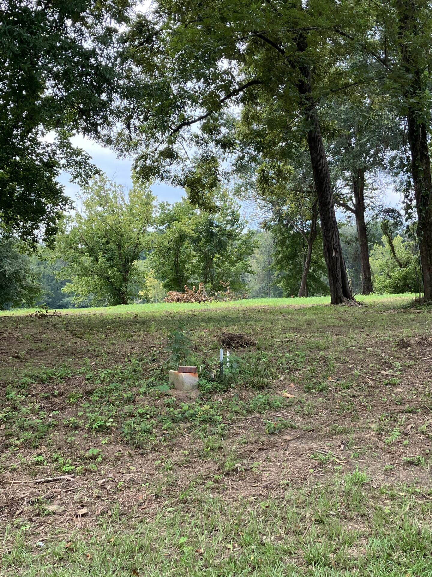 165 River Bend Drive Property Photo 4