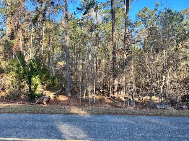 1a Hickory Knob Property Photo 1