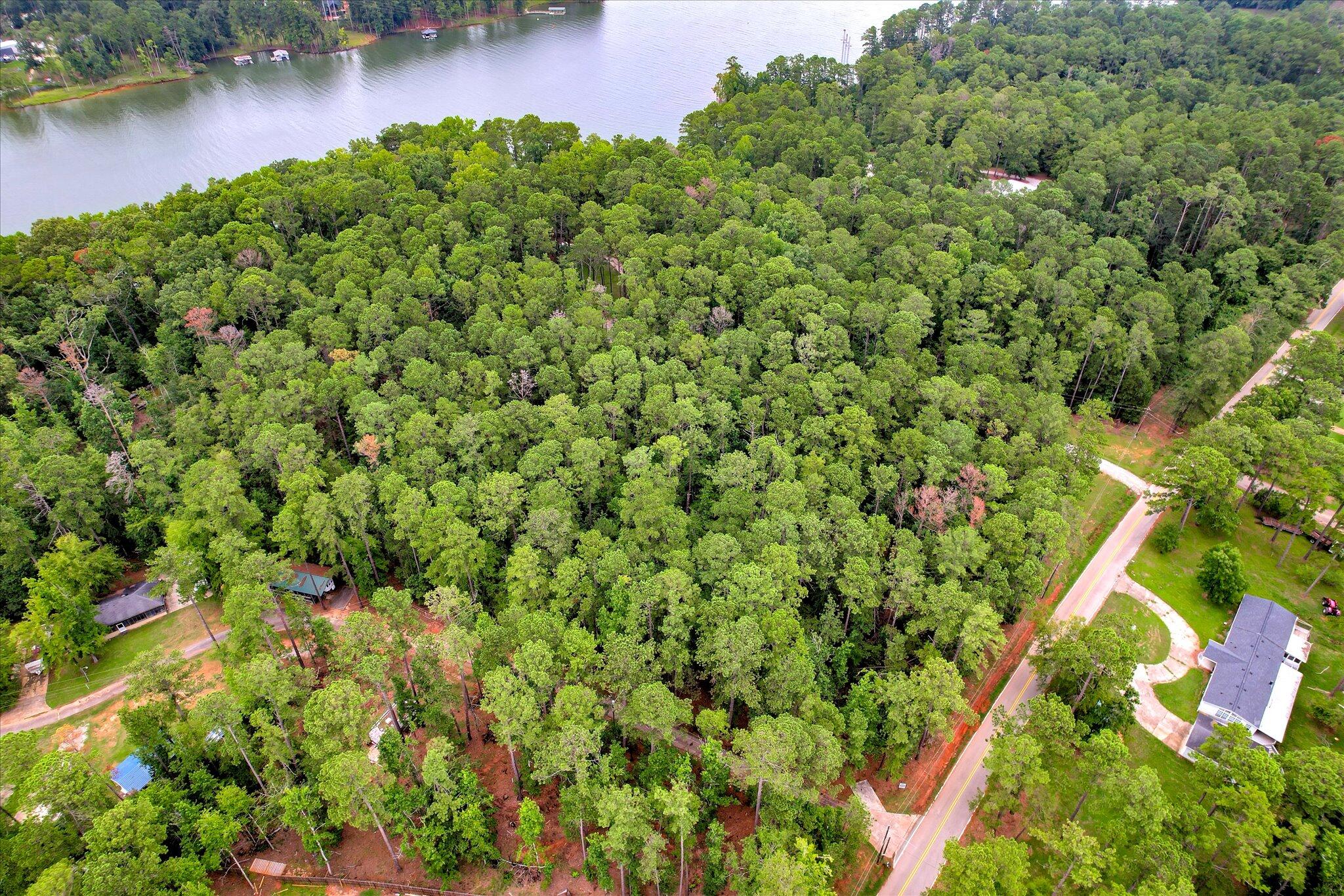 6205 Keg Creek Drive Property Photo 11