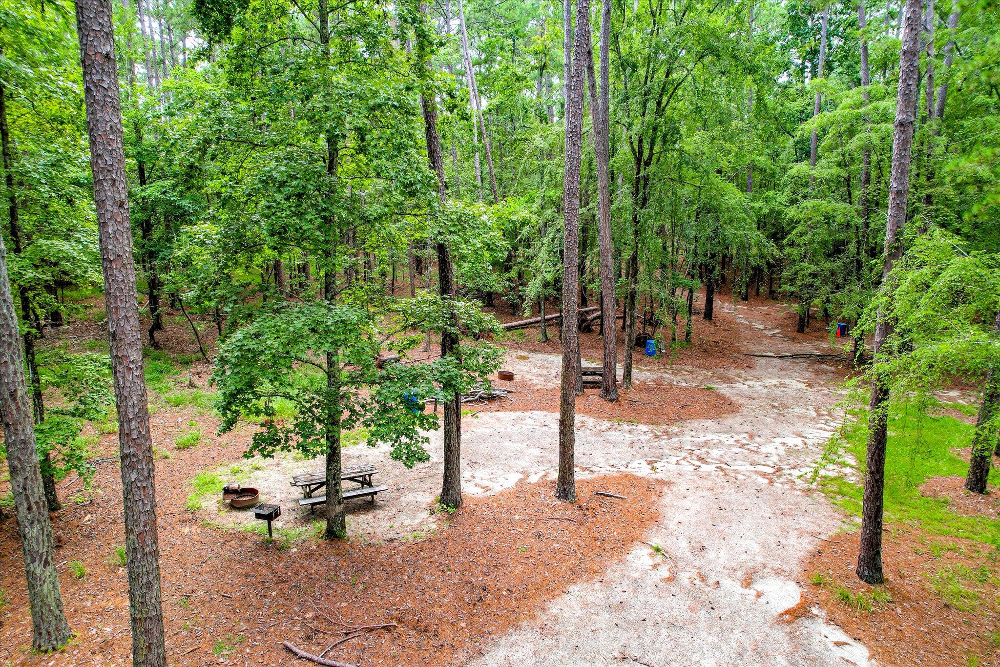 6205 Keg Creek Drive Property Photo 20