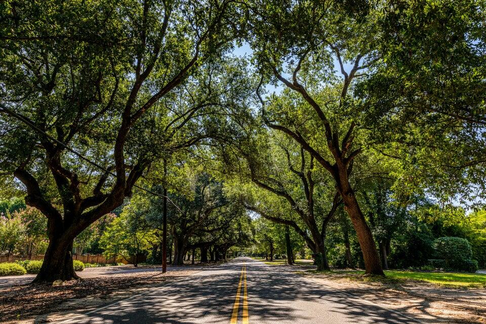 8894 Snelling Drive Property Photo 50