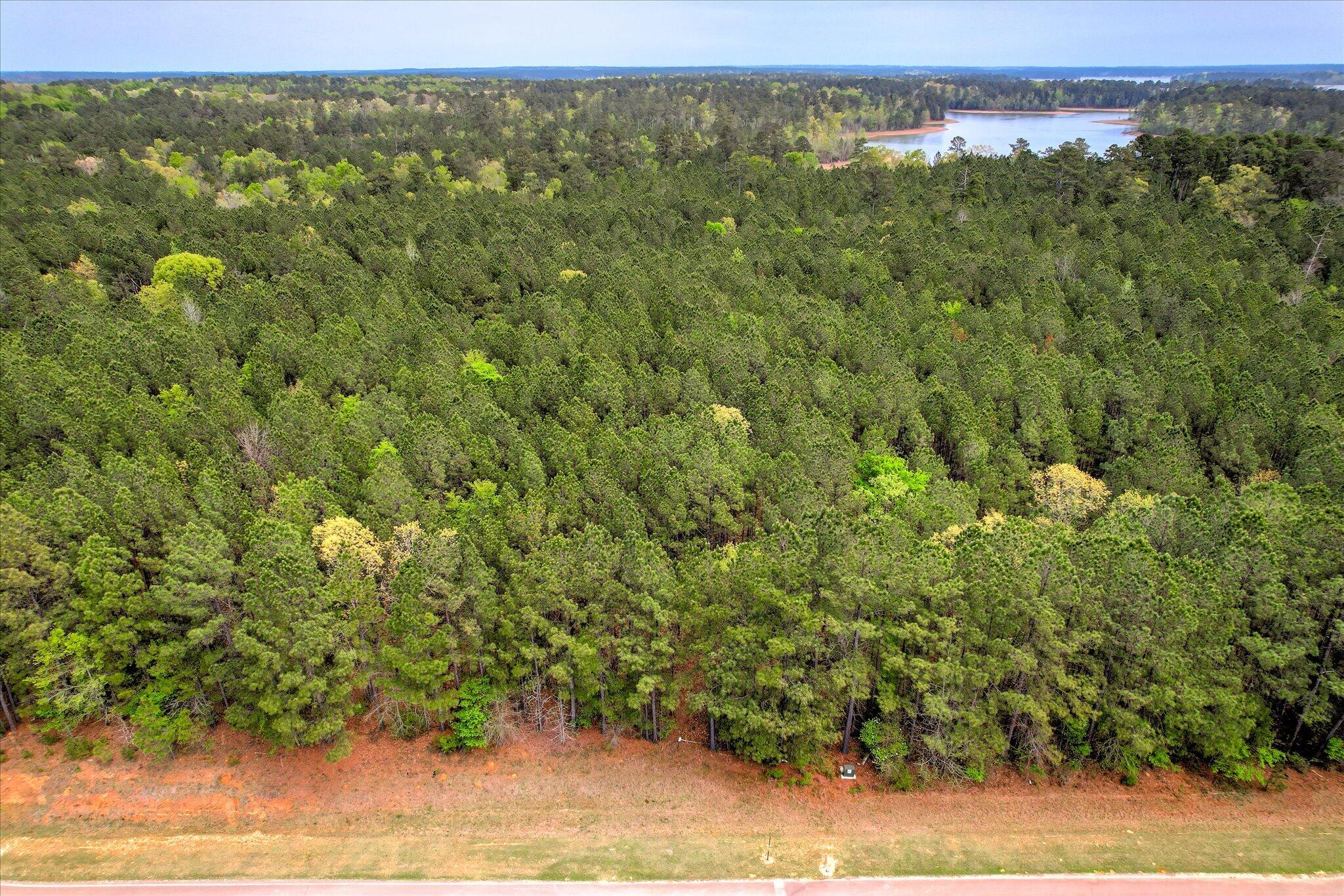 1066 Clinton-williams Road Property Photo 2