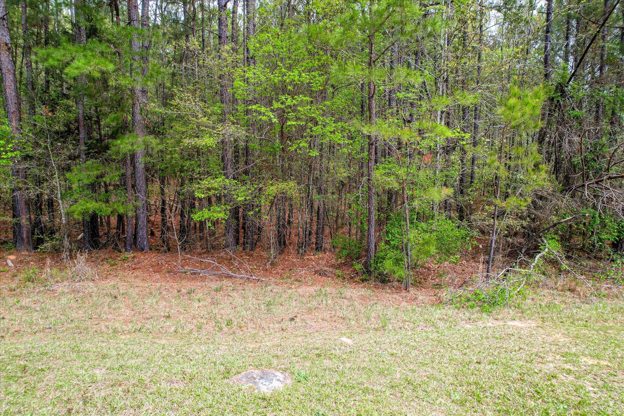 1078 13 Clinton-Williams Road