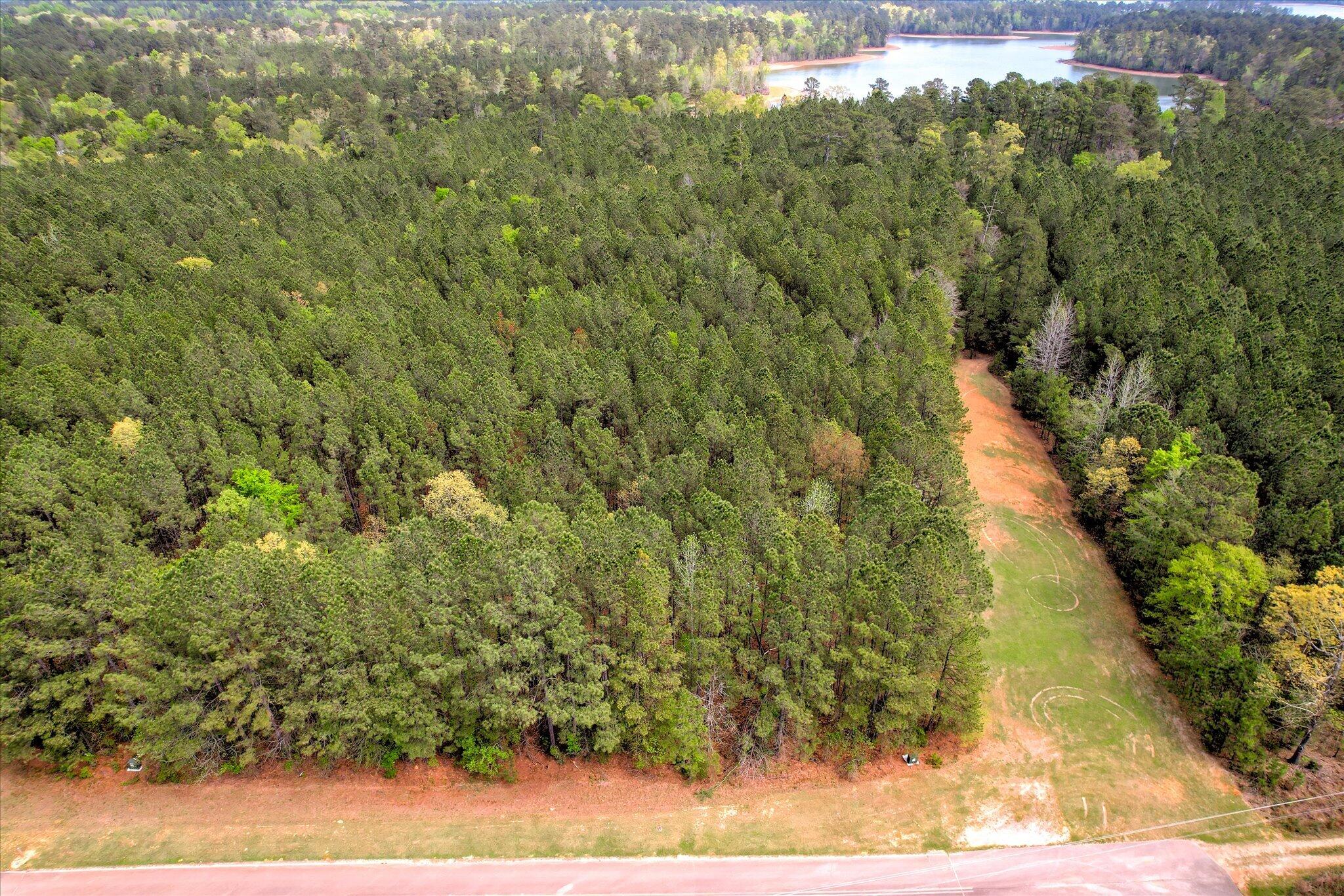 1078 13 Clinton-williams Road Property Photo 2