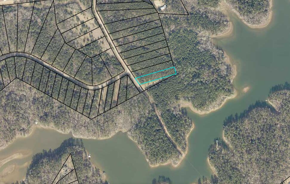 1078 13 Clinton-williams Road Property Photo 3
