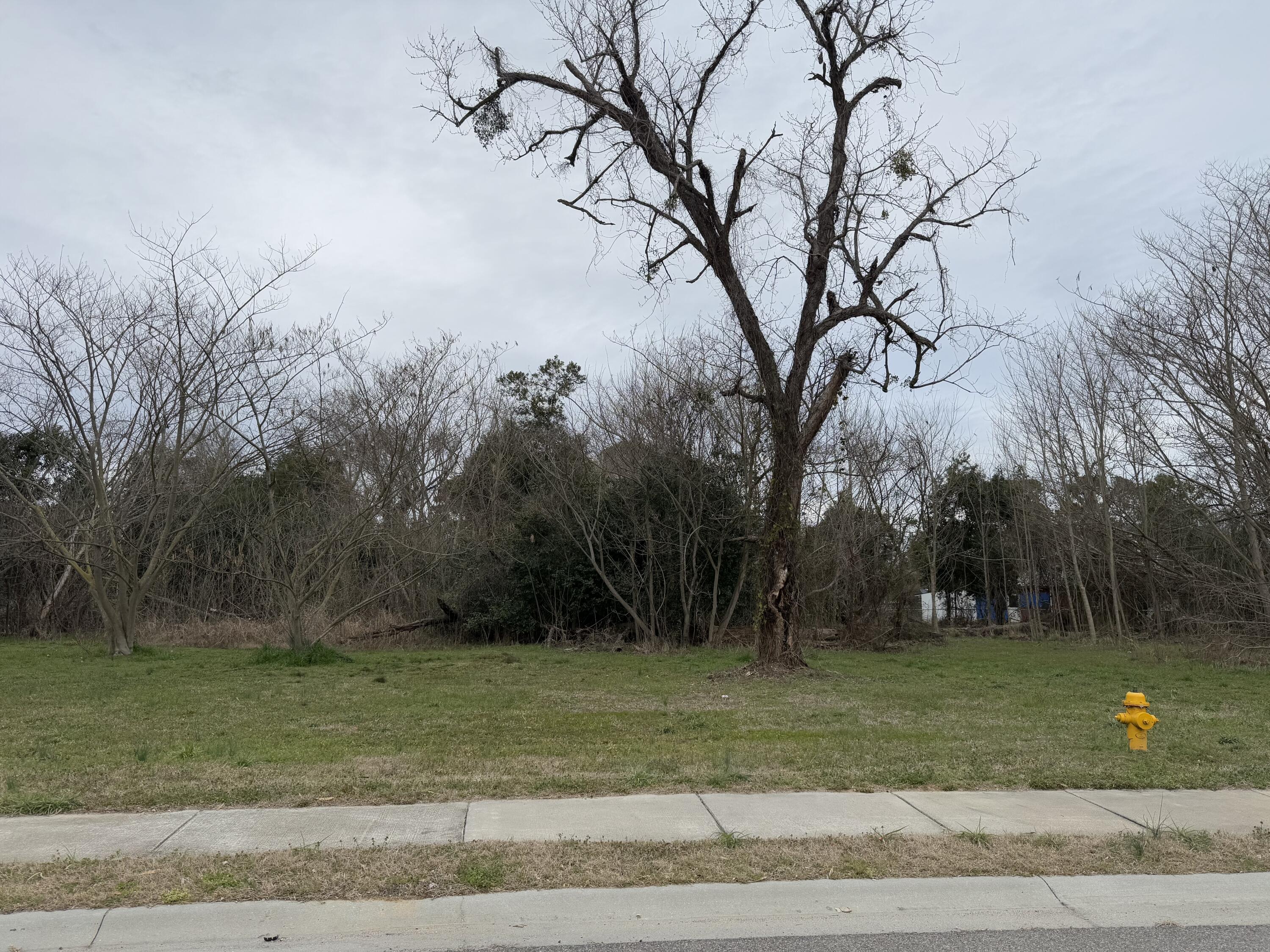 156 Mcelmurray Property Photo 2