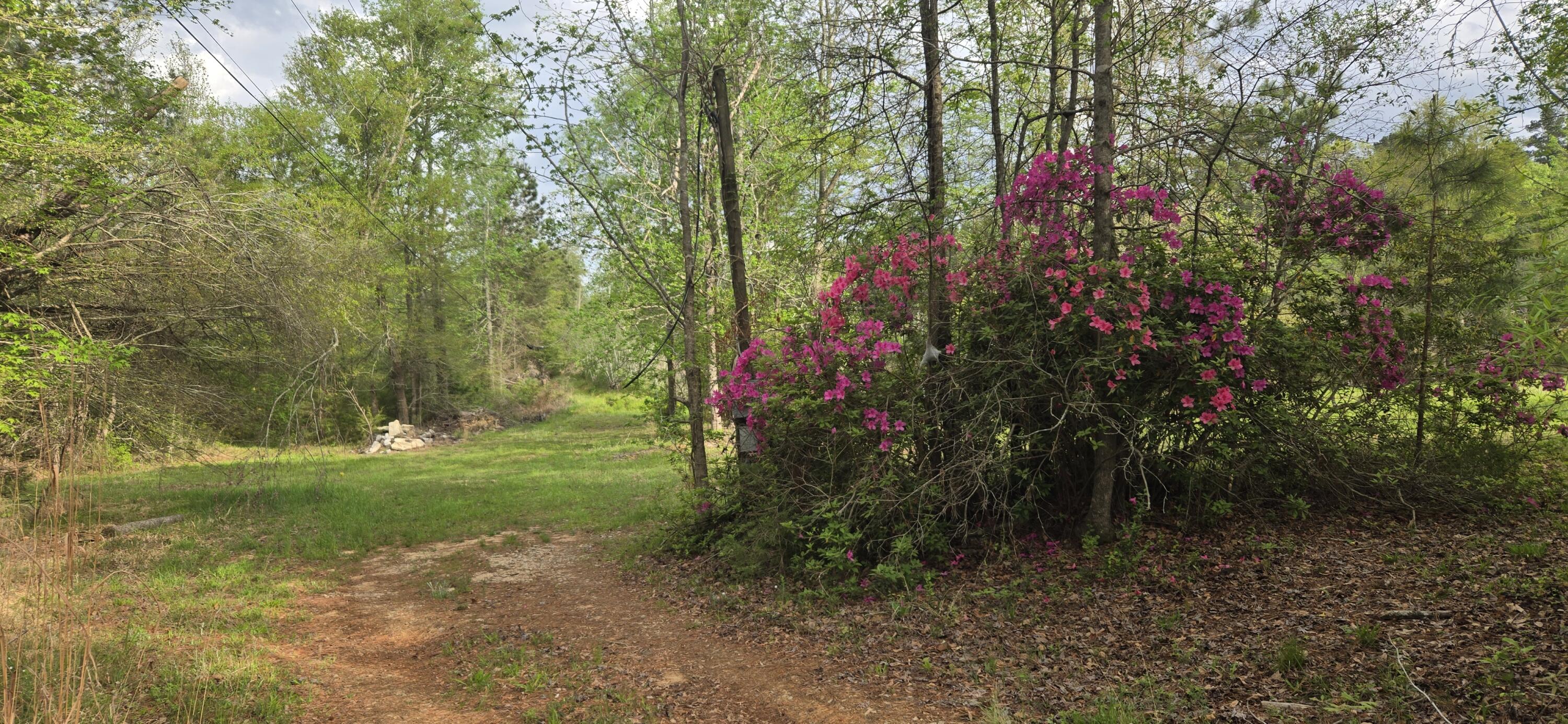 0 Mcgahee Road Property Photo 4