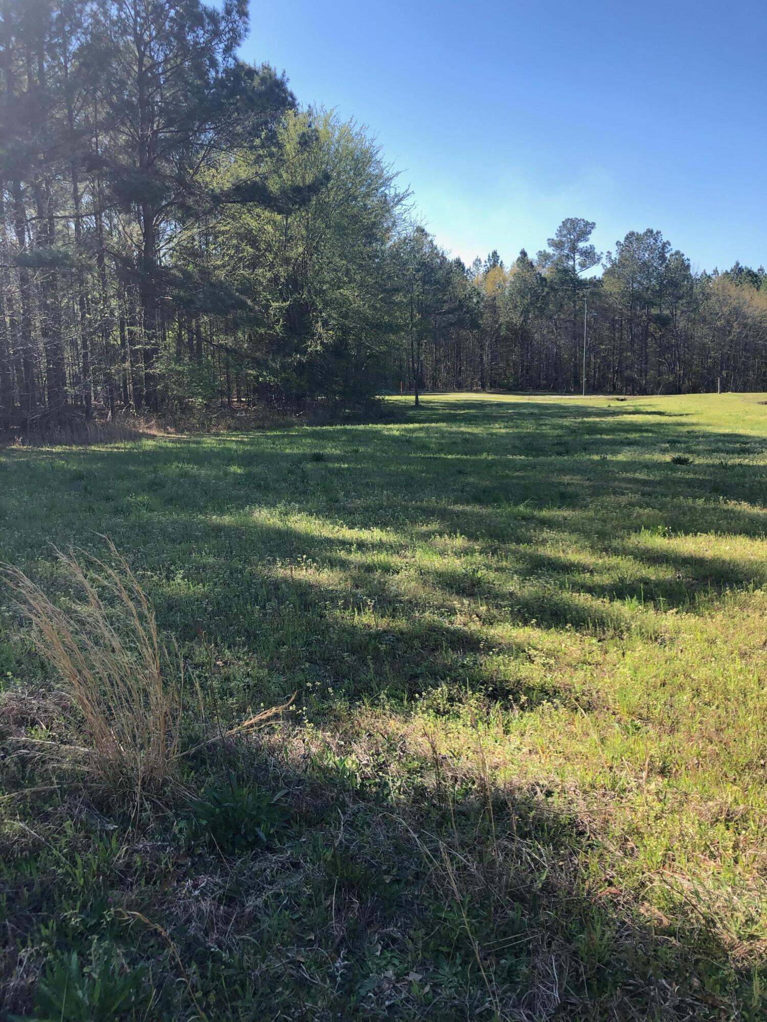 4.17 Acres Starr Hinson Road Property Photo 2