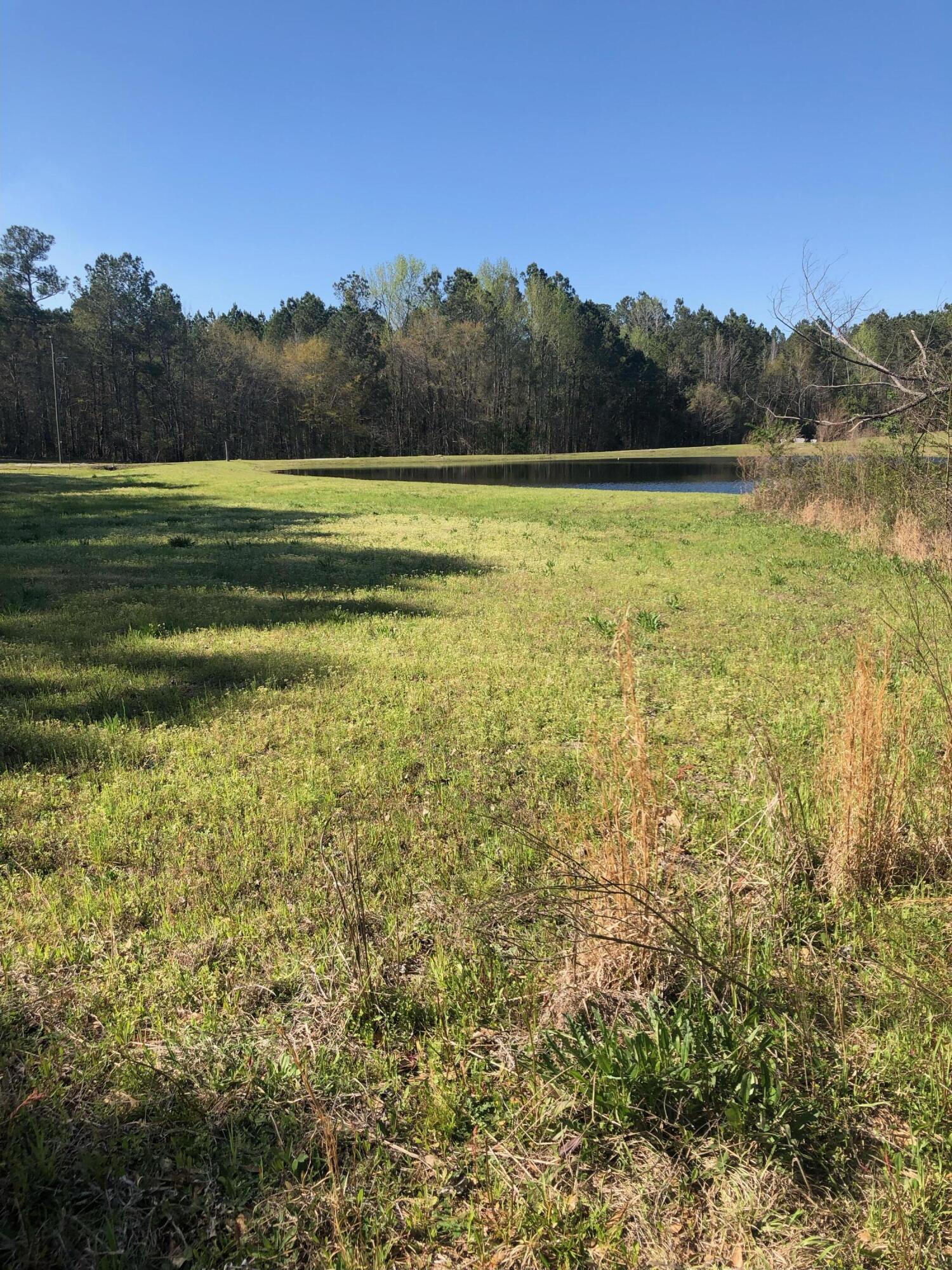 4.17 Acres Starr Hinson Road Property Photo 3