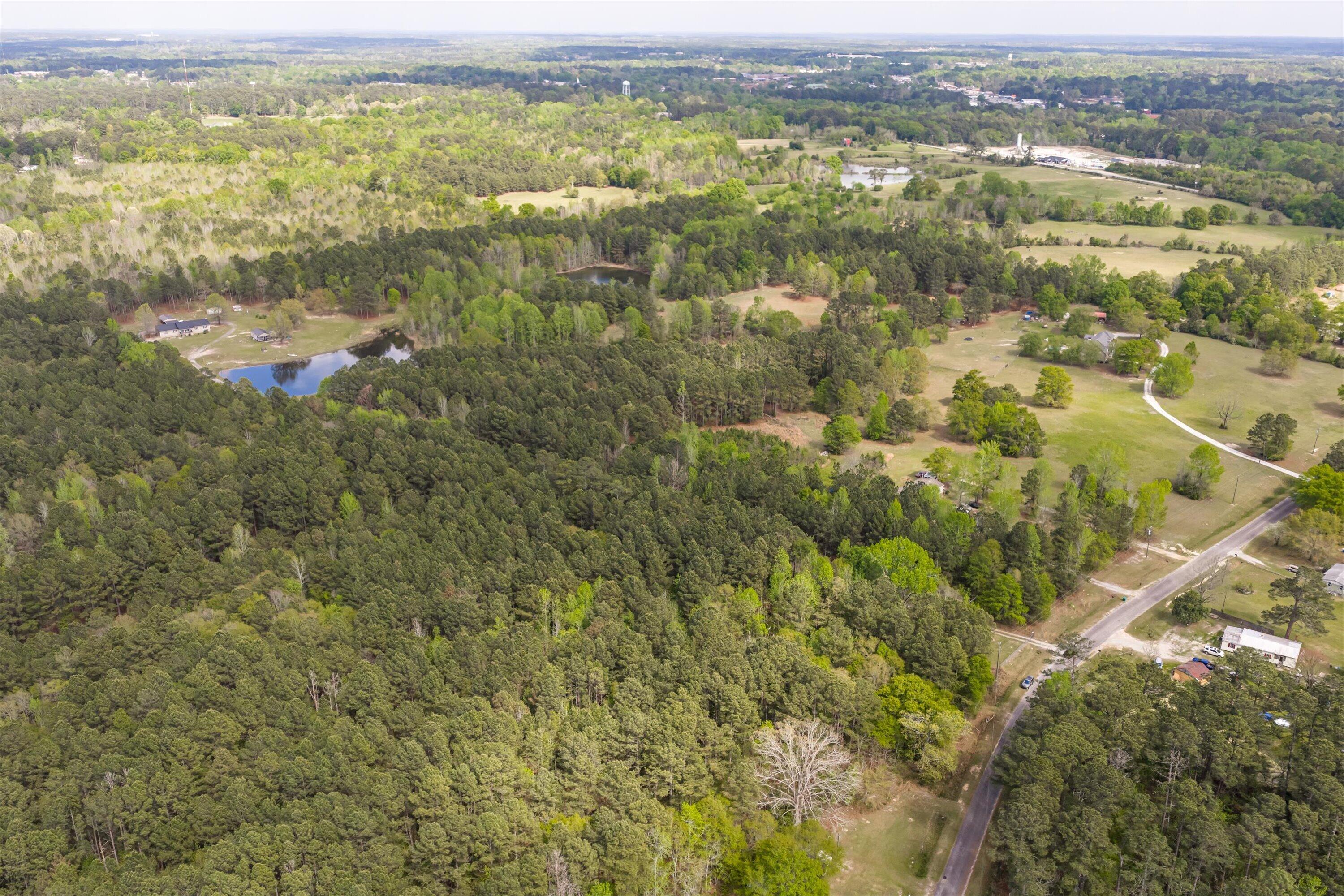 4.17 Acres Starr Hinson Road Property Photo 5