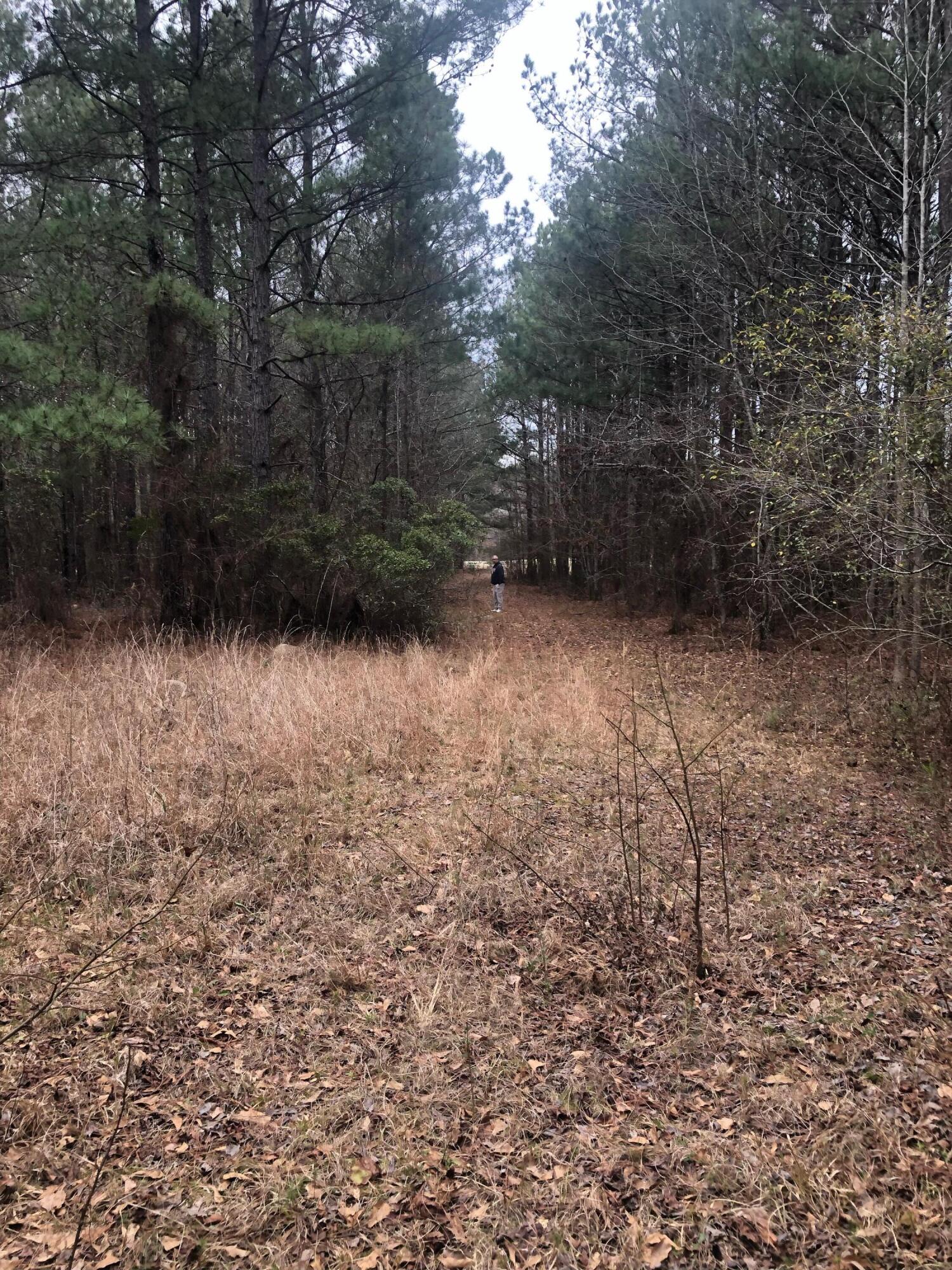 4.17 Acres Starr Hinson Road Property Photo 13