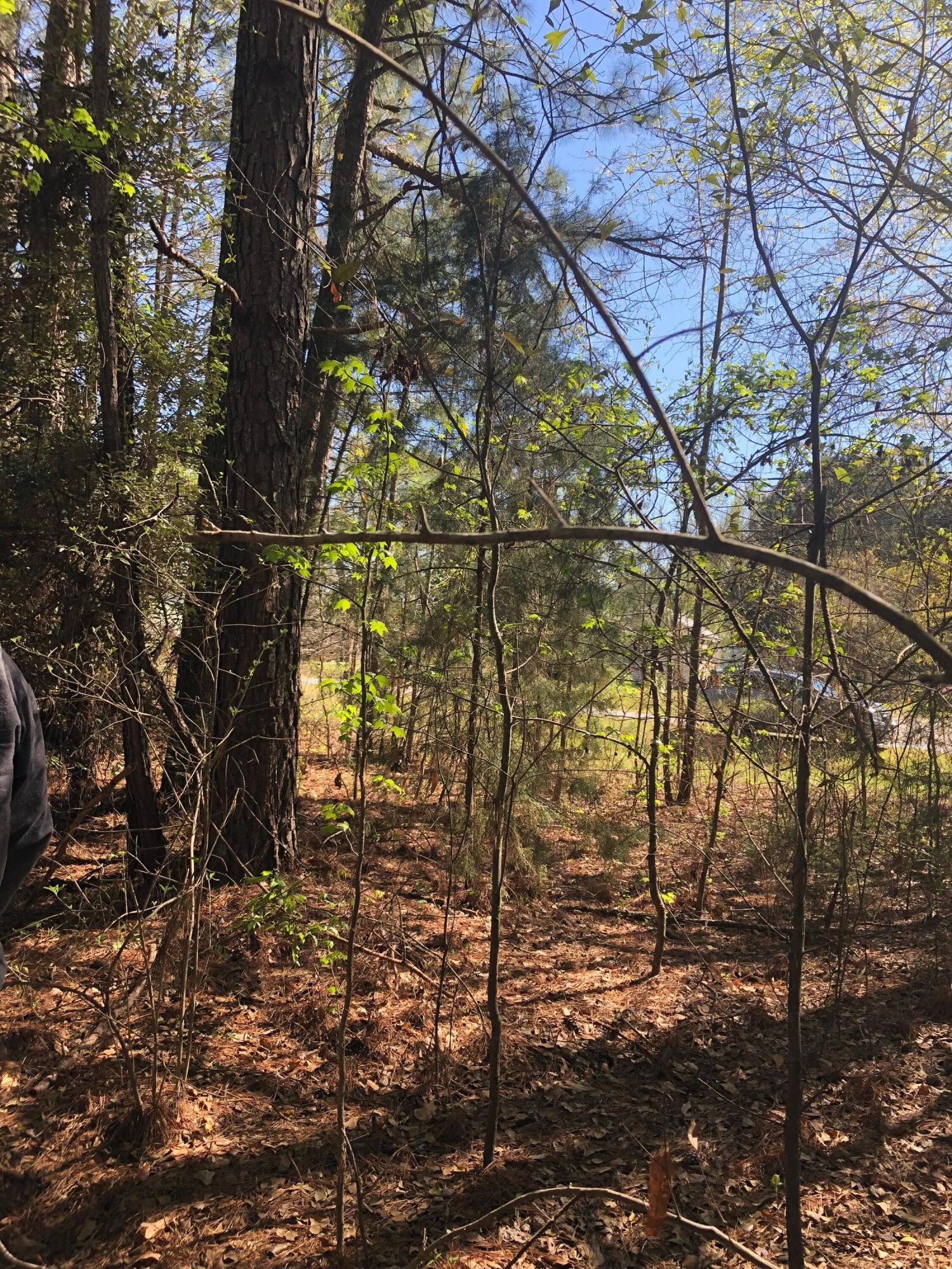 4.17 Acres Starr Hinson Road Property Photo 14