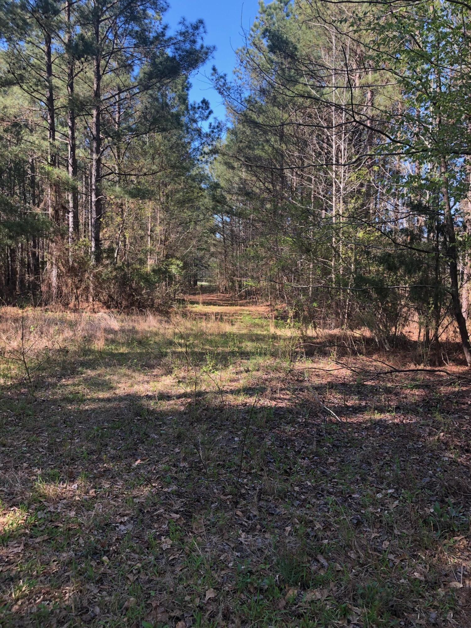 4.17 Acres Starr Hinson Road Property Photo 17